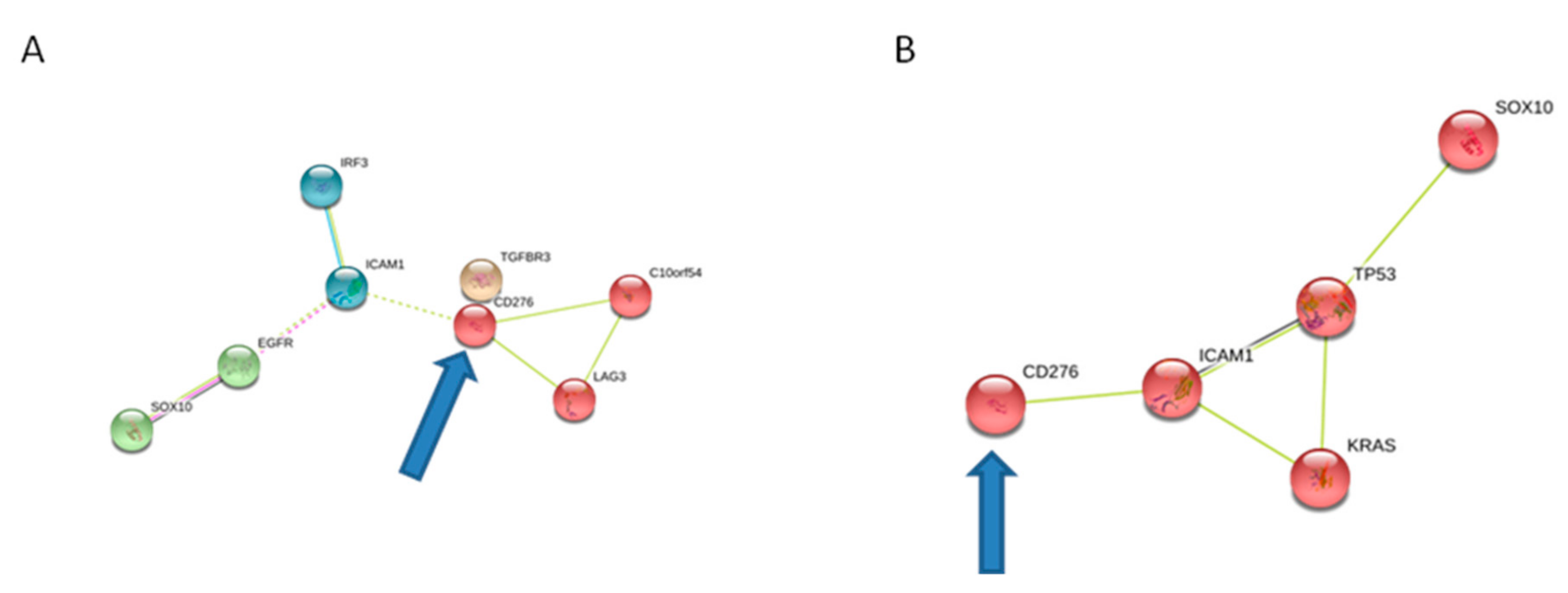 Cancers 11 00749 g003