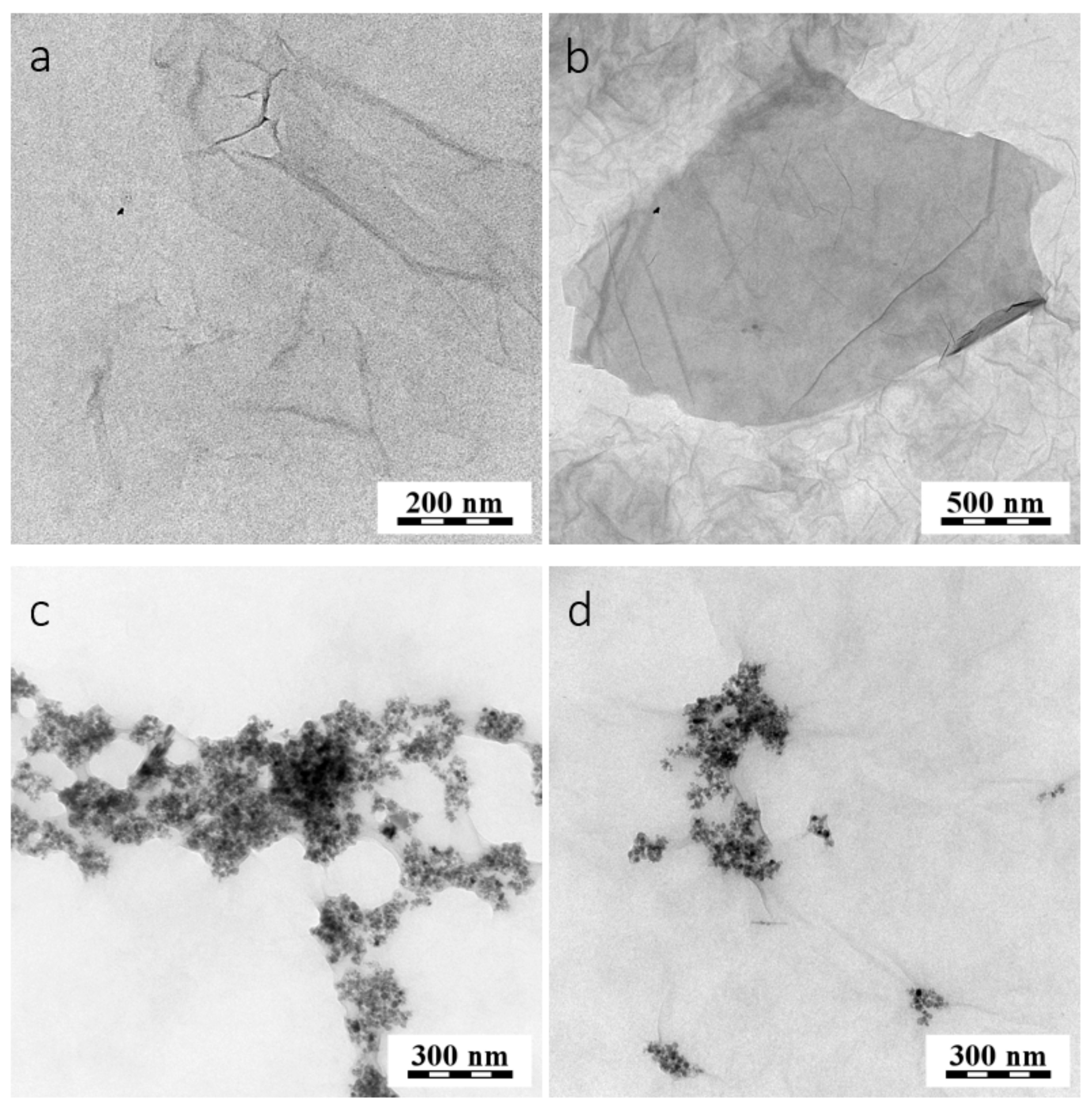 Cancers 11 00753 g007 Cancers 11 00753 g007