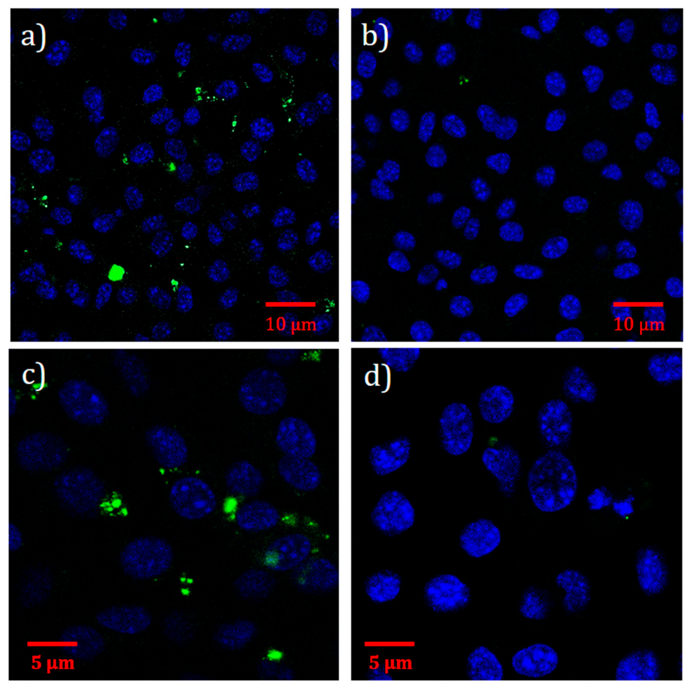 Cancers 11 00753 g009 Cancers 11 00753 g009