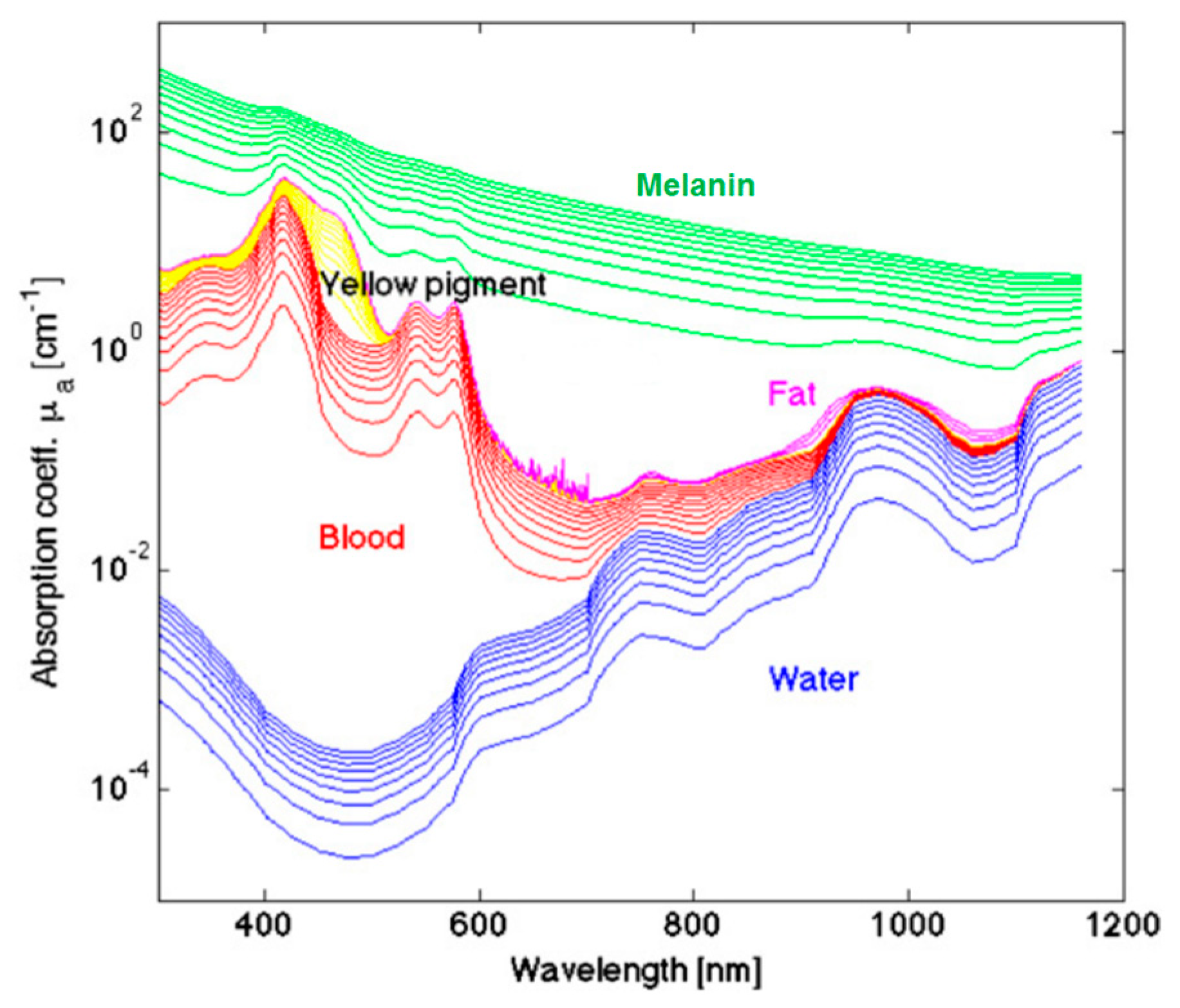 Cancers 11 00756 g004 Cancers 11 00756 g004