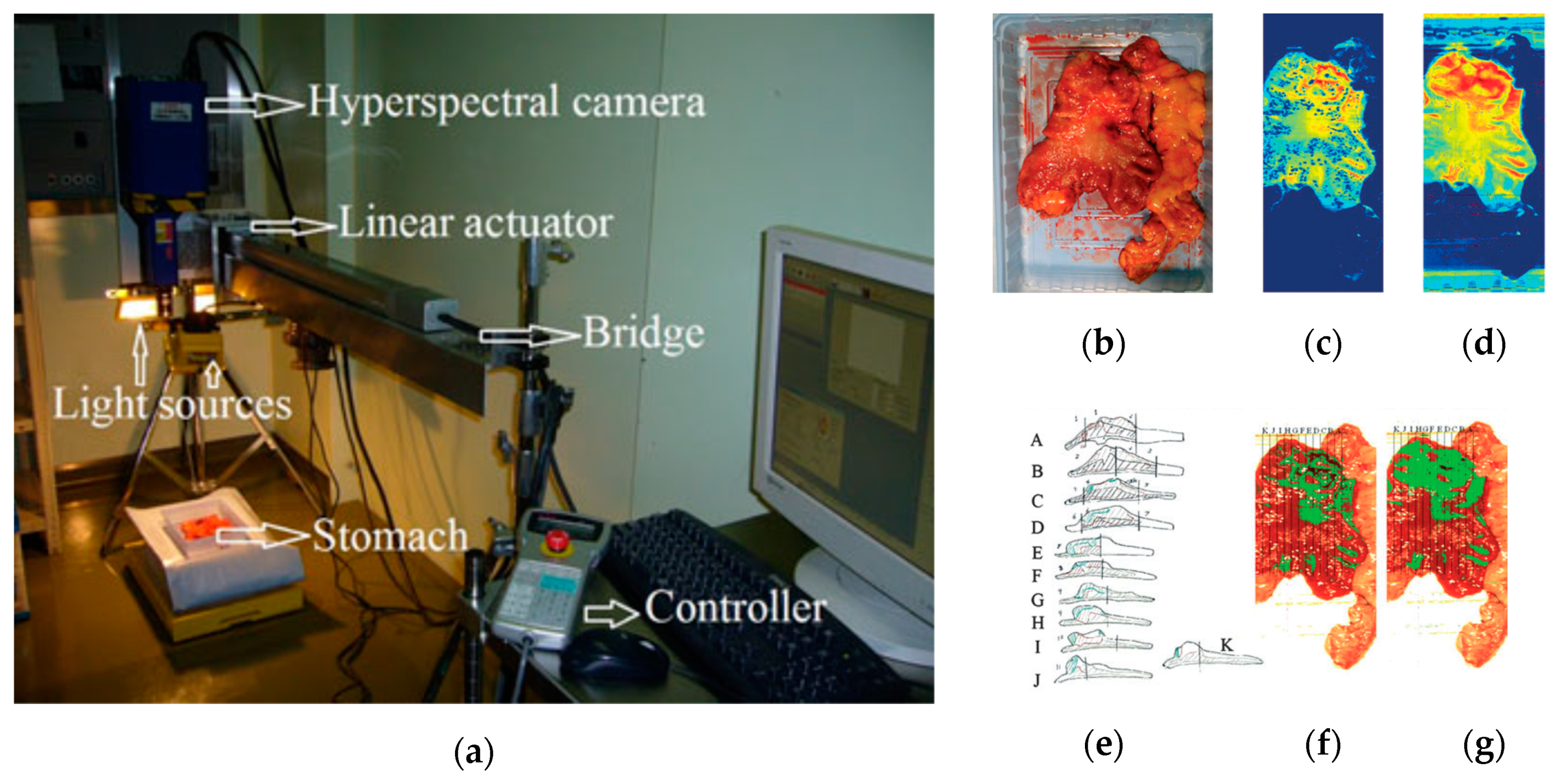 Cancers 11 00756 g006 Cancers 11 00756 g006