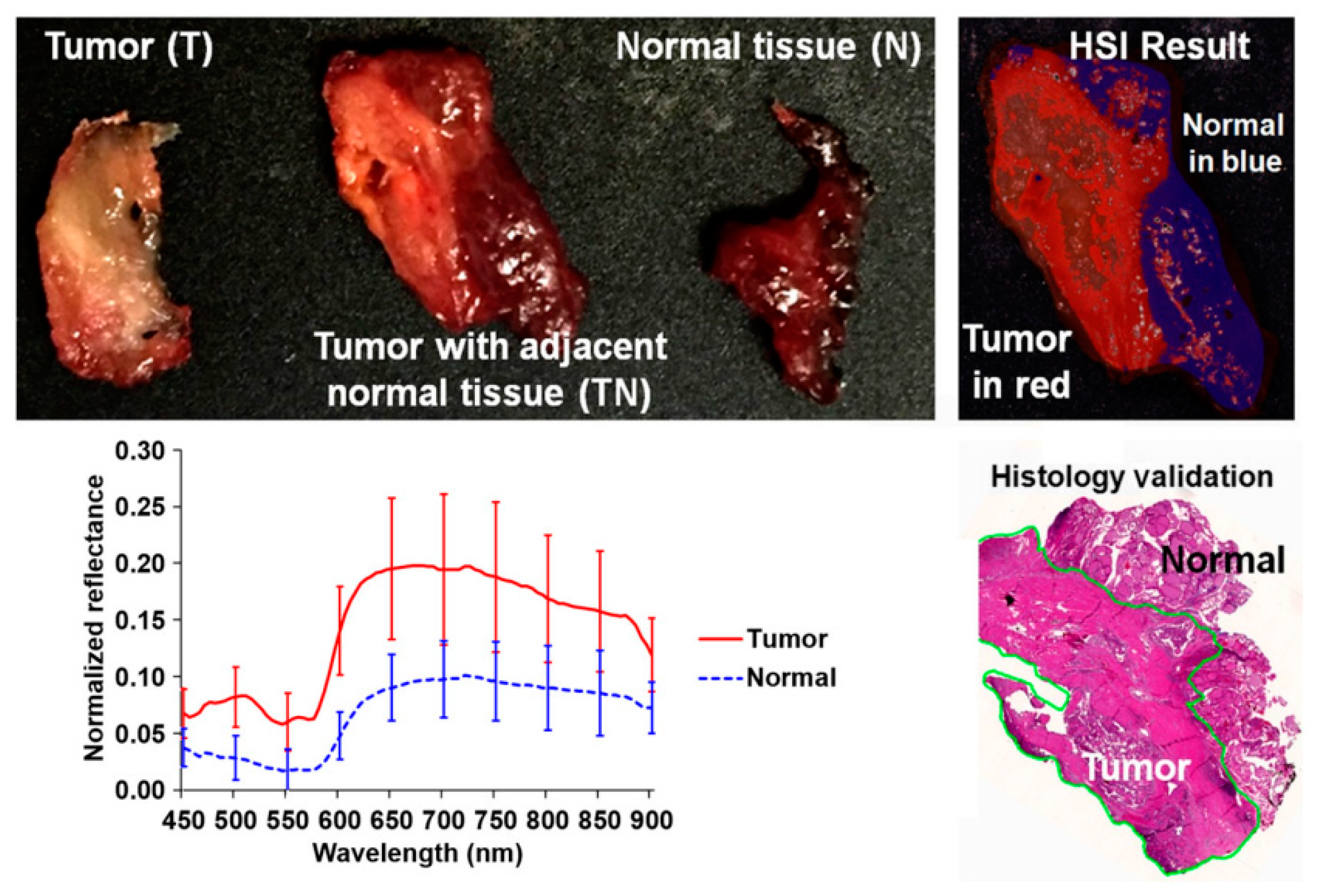 Cancers 11 00756 g008 Cancers 11 00756 g008