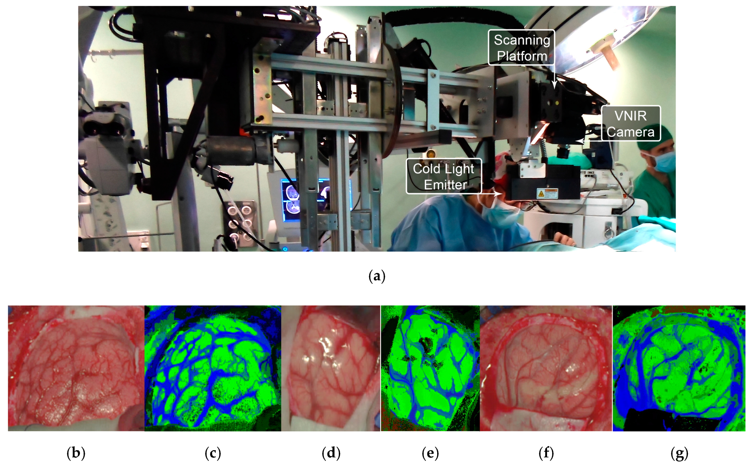 Cancers 11 00756 g011 Cancers 11 00756 g011