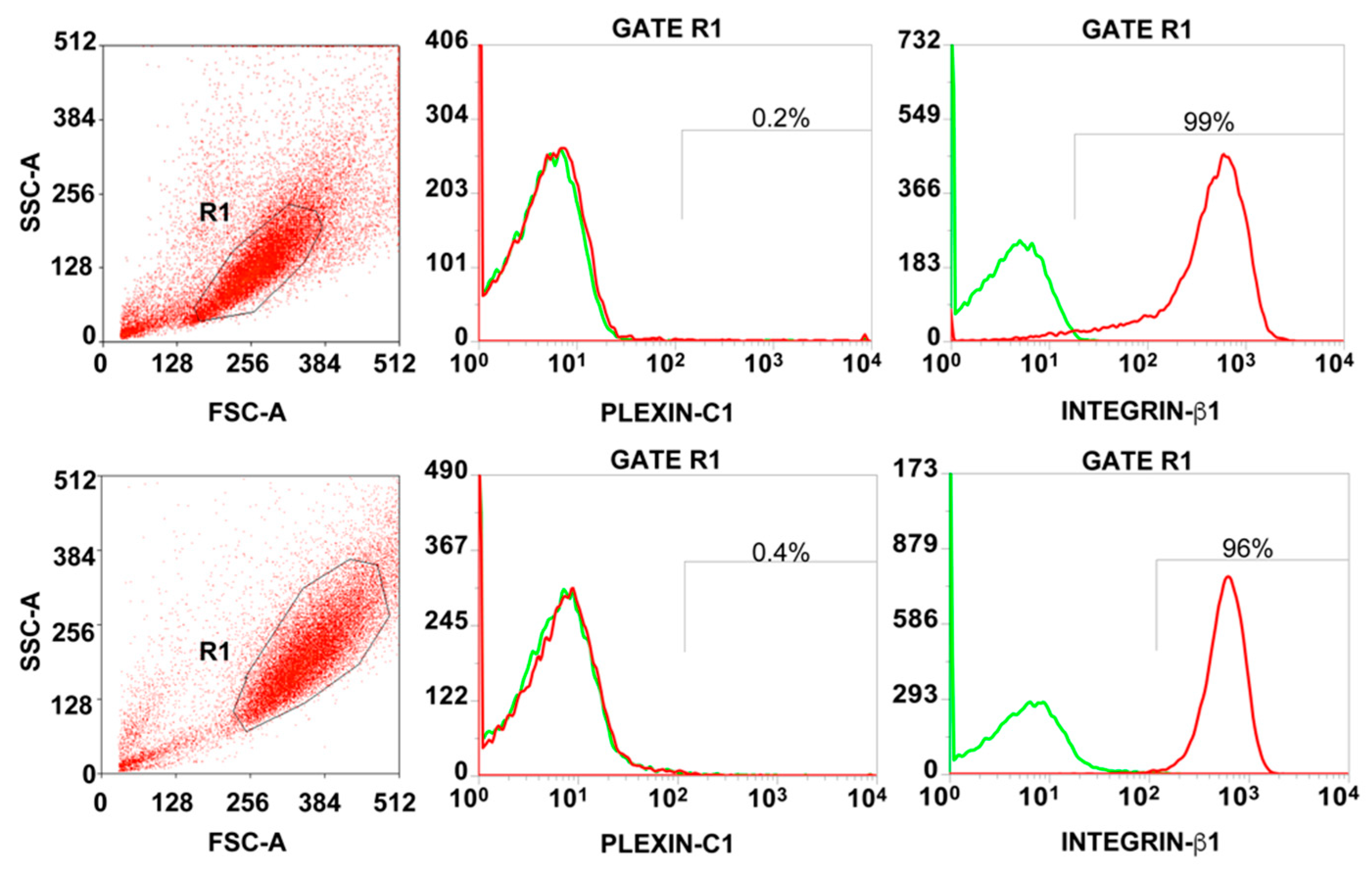 Cancers 11 00758 g003 Cancers 11 00758 g003