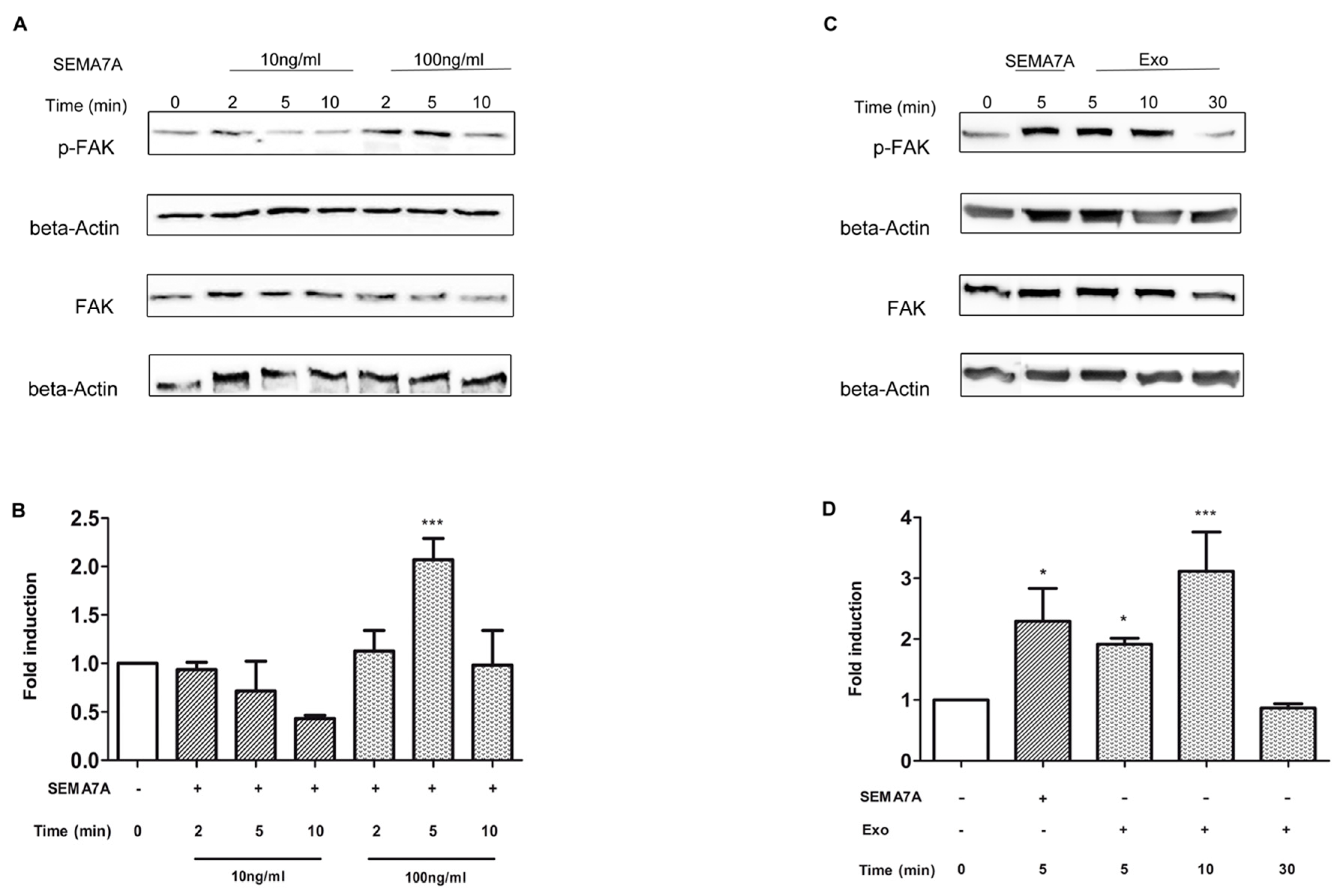 Cancers 11 00758 g004 Cancers 11 00758 g004