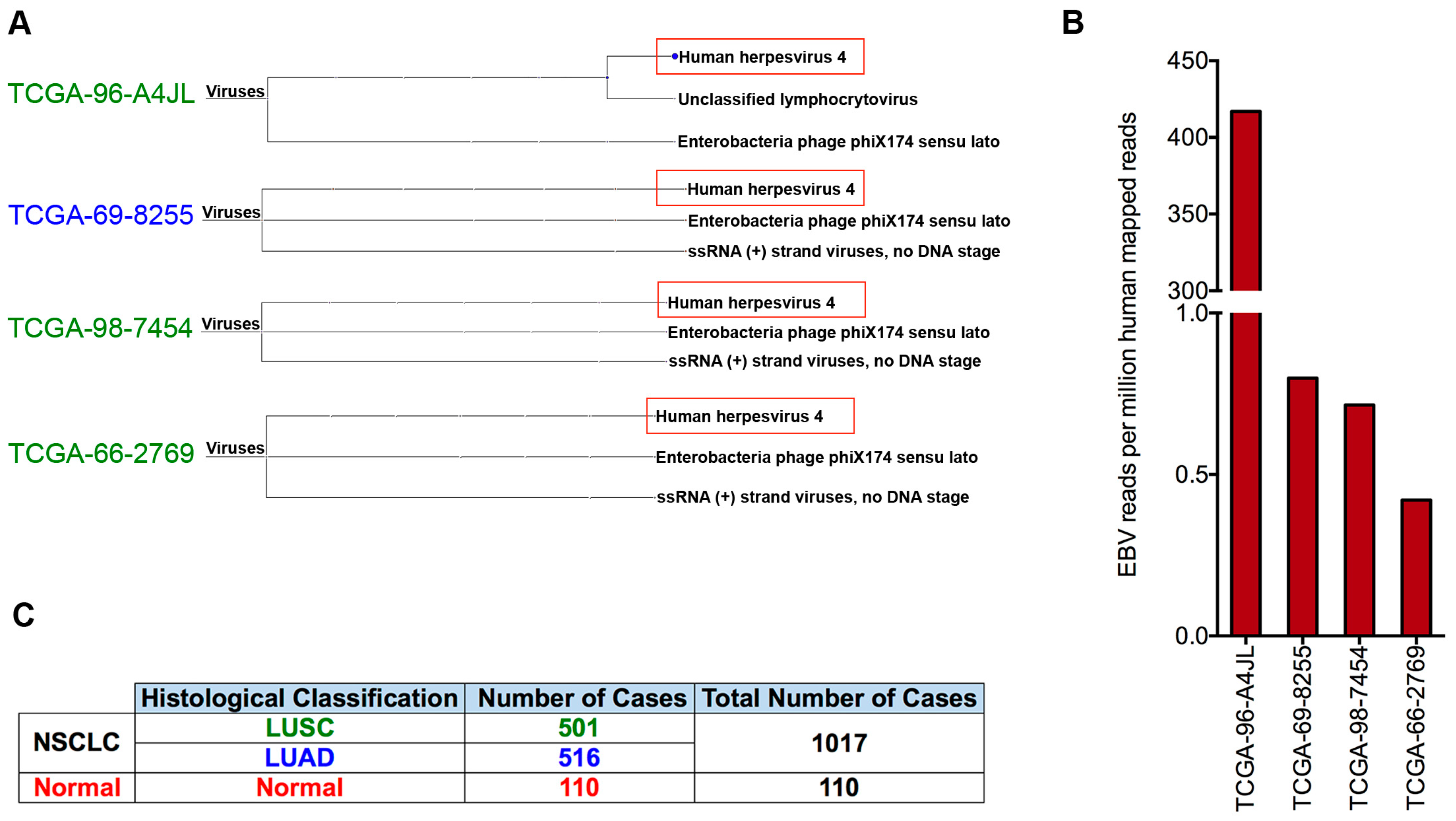 Cancers 11 00759 g002