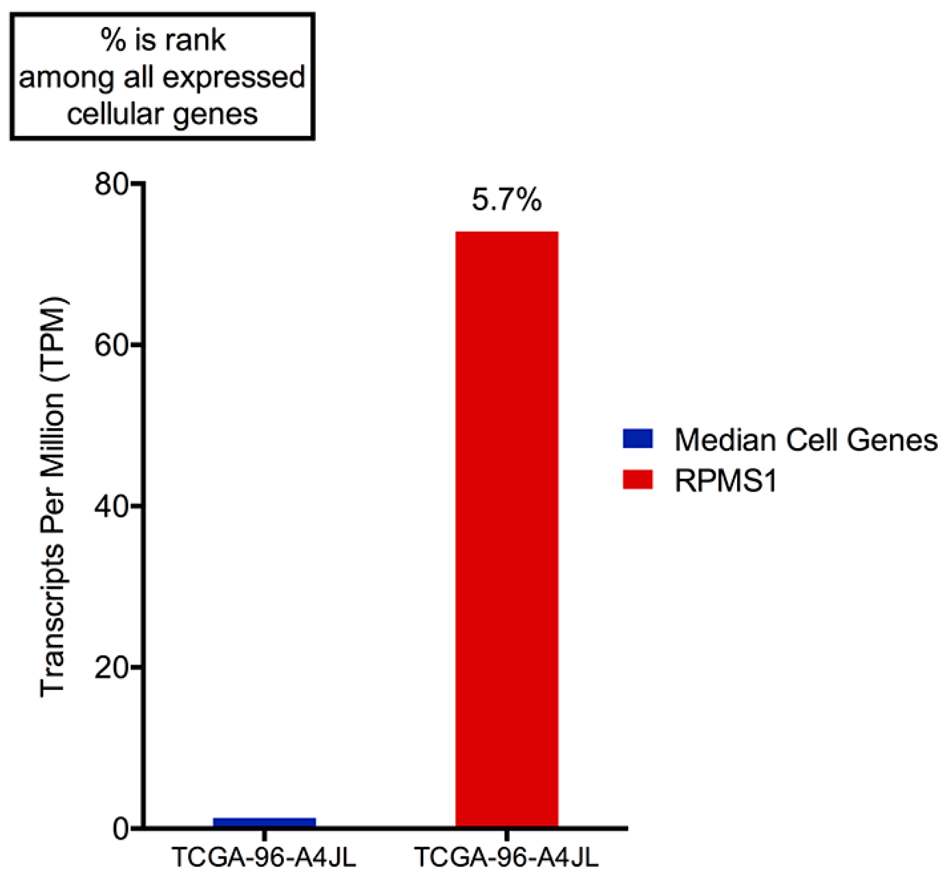 Cancers 11 00759 g005