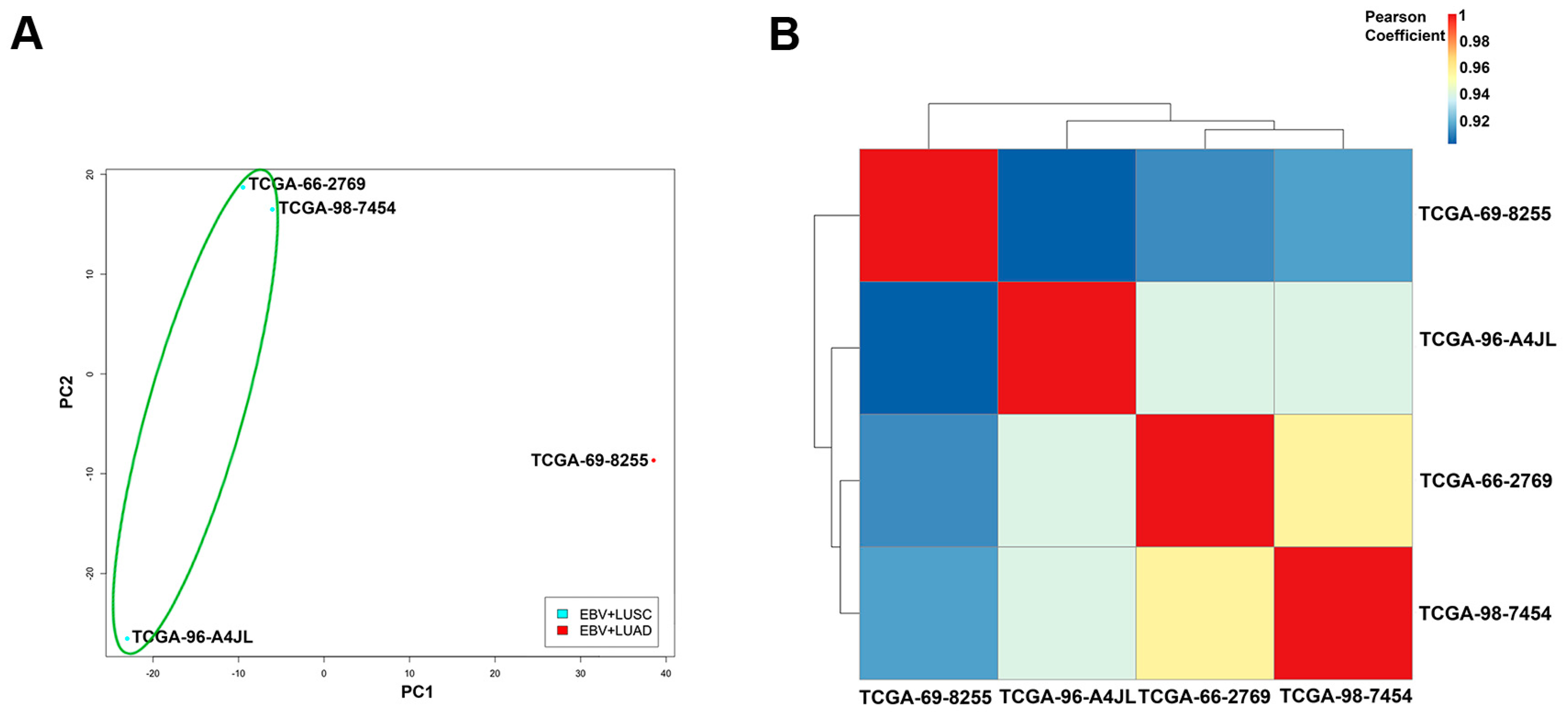 Cancers 11 00759 g007