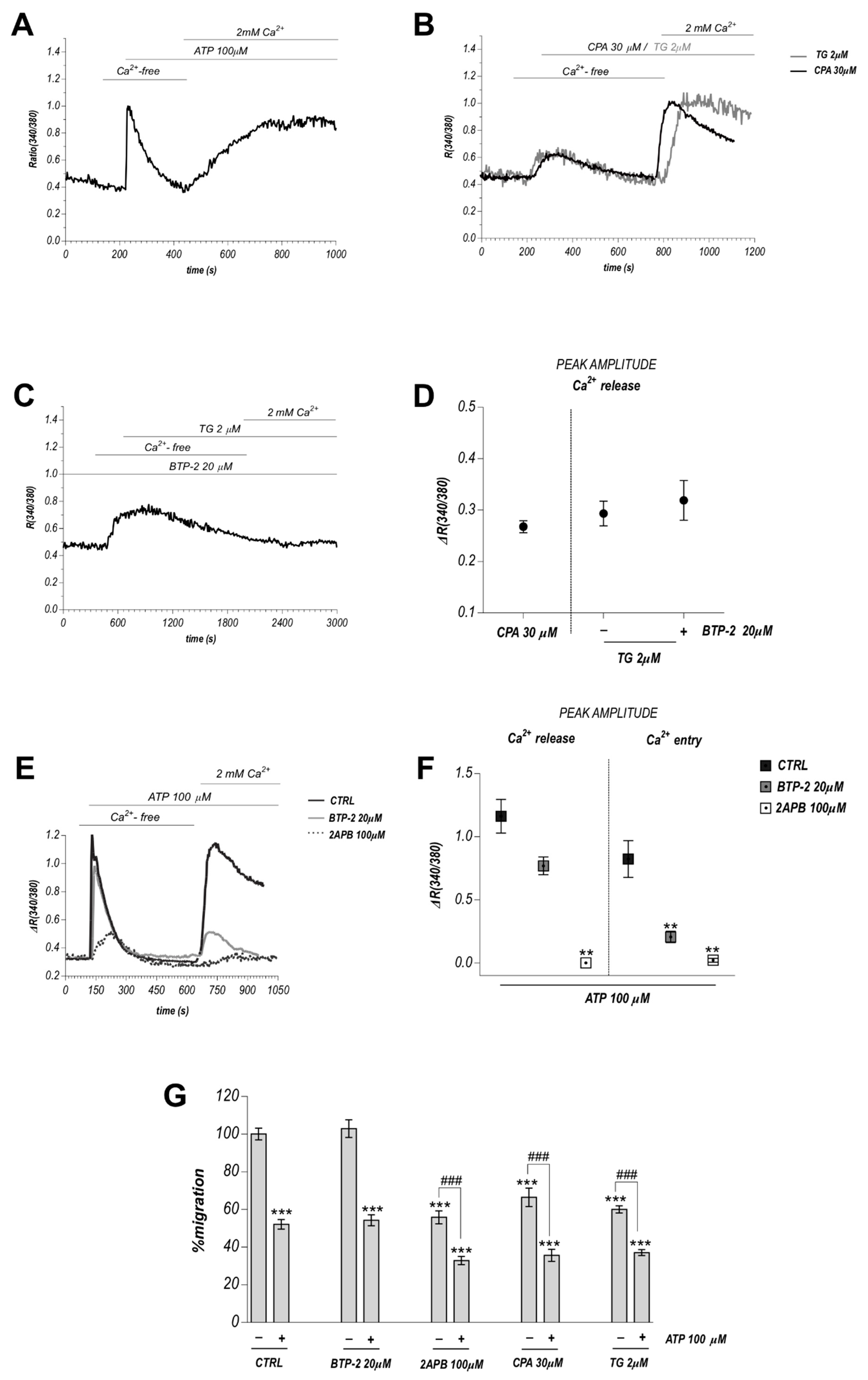 Cancers 11 00766 g002