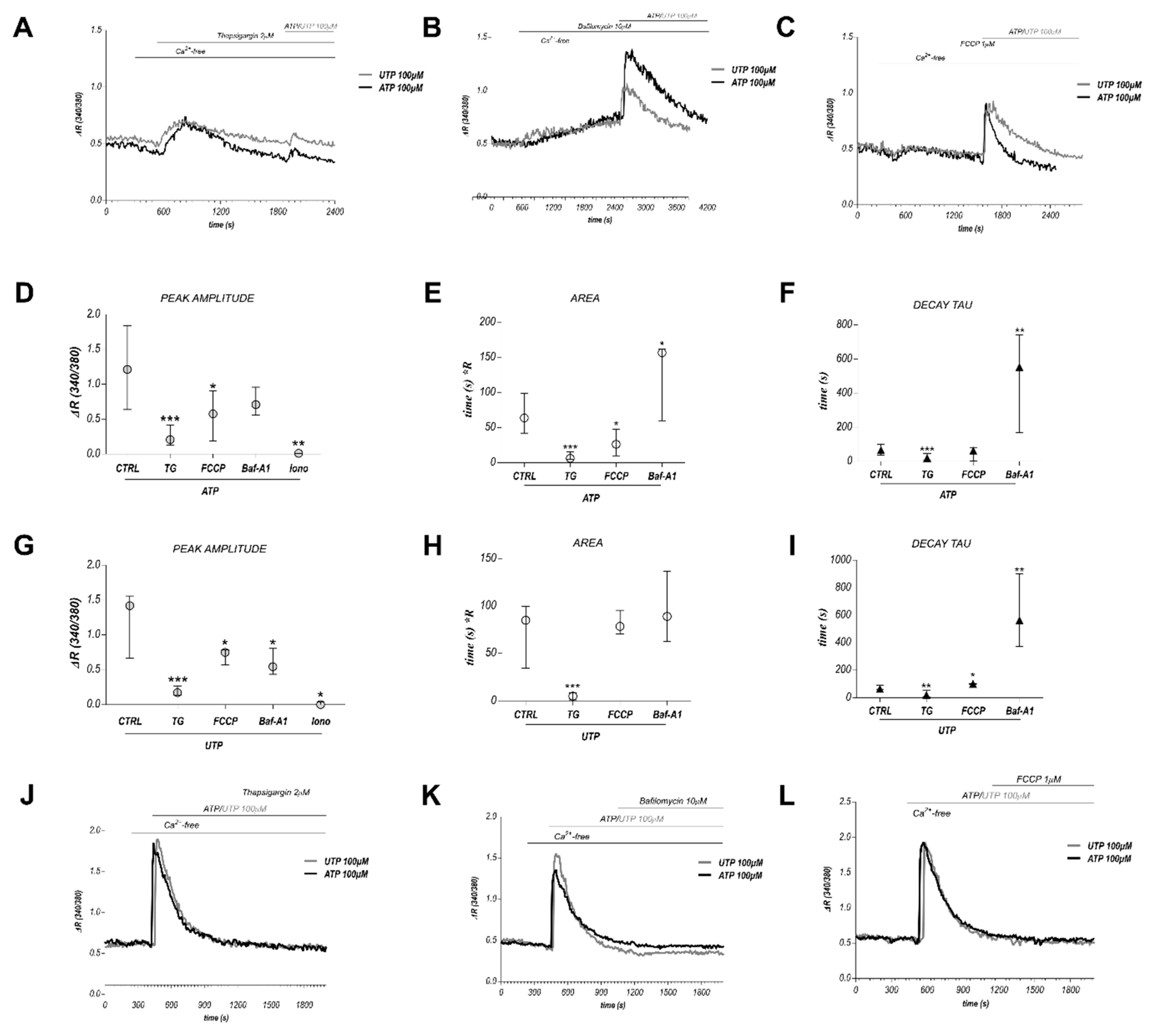 Cancers 11 00766 g004