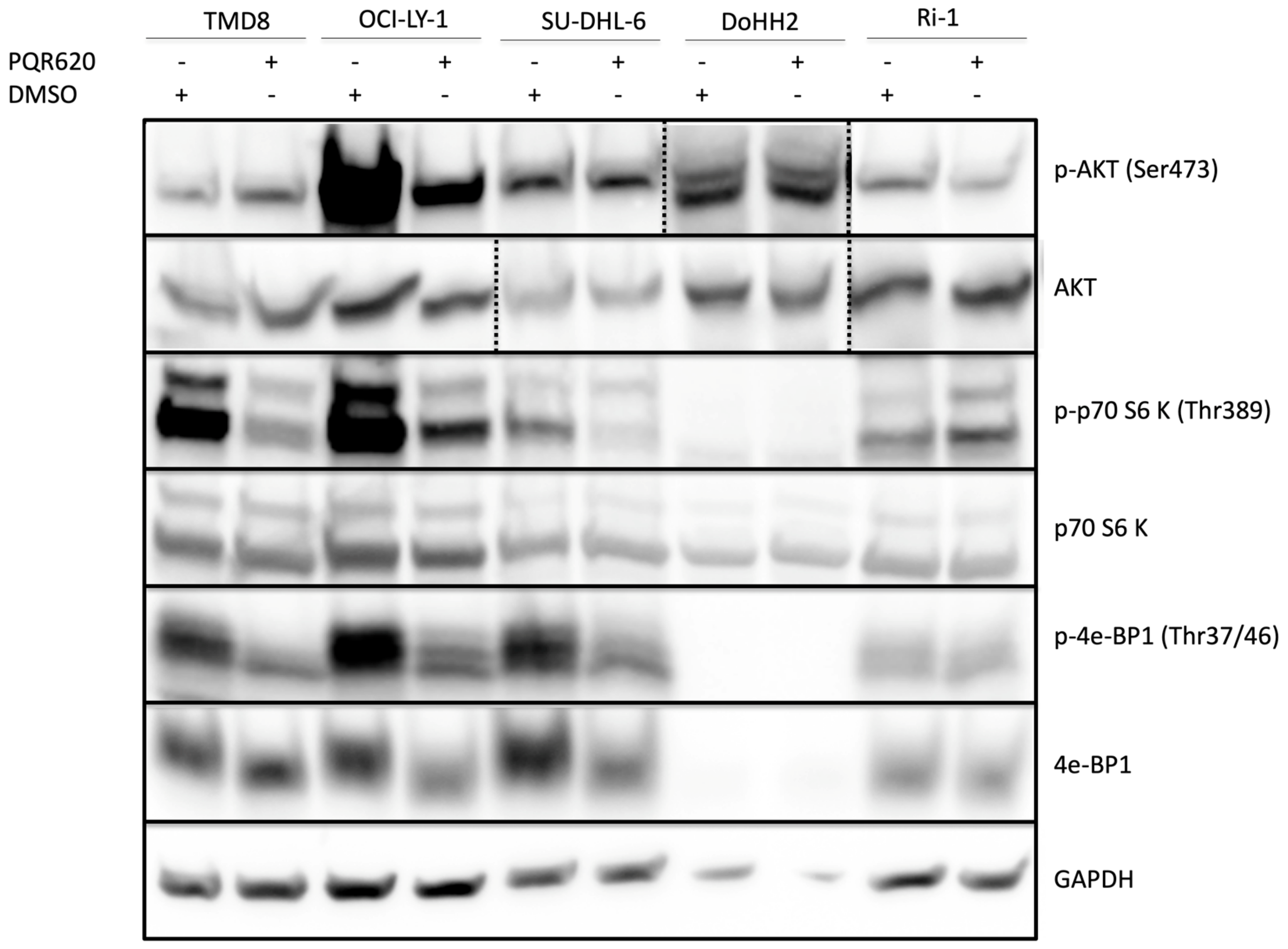 Cancers 11 00775 g001 Cancers 11 00775 g001