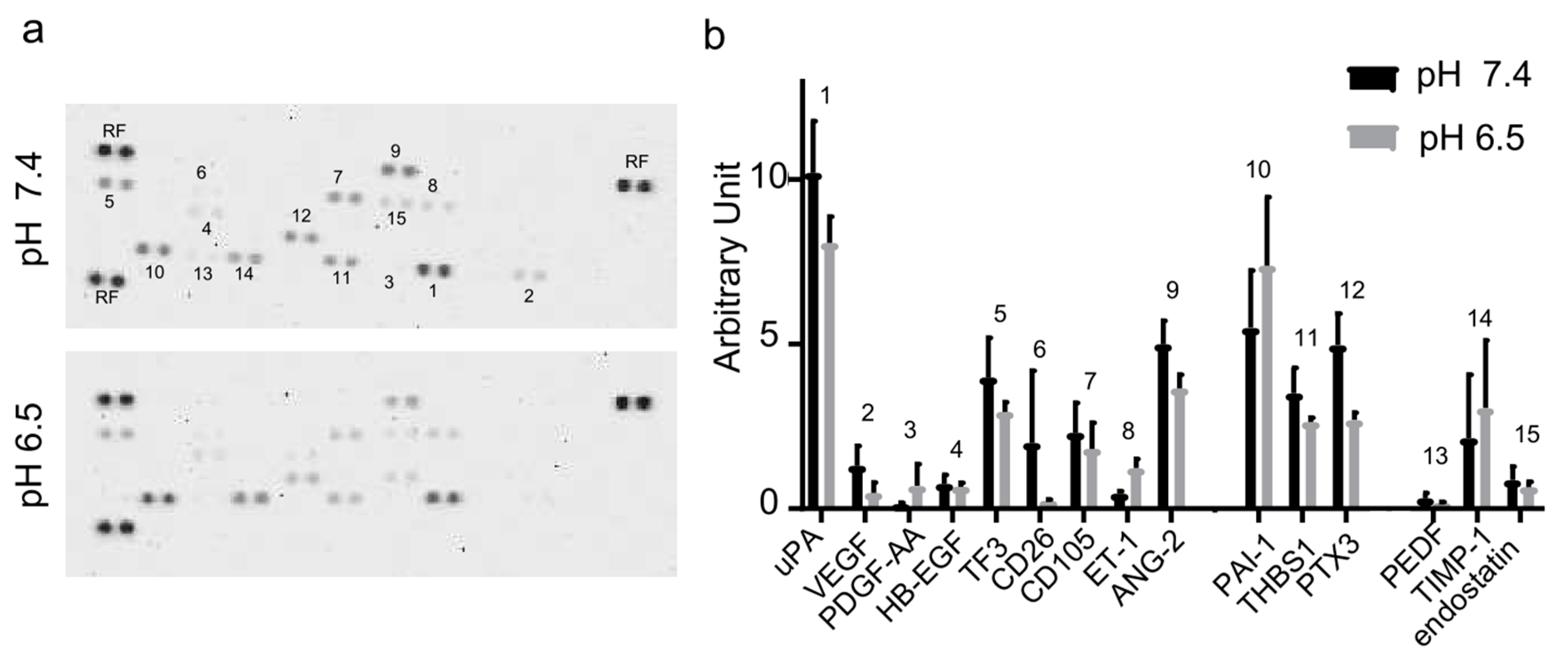 Cancers 11 00779 g004 Cancers 11 00779 g004