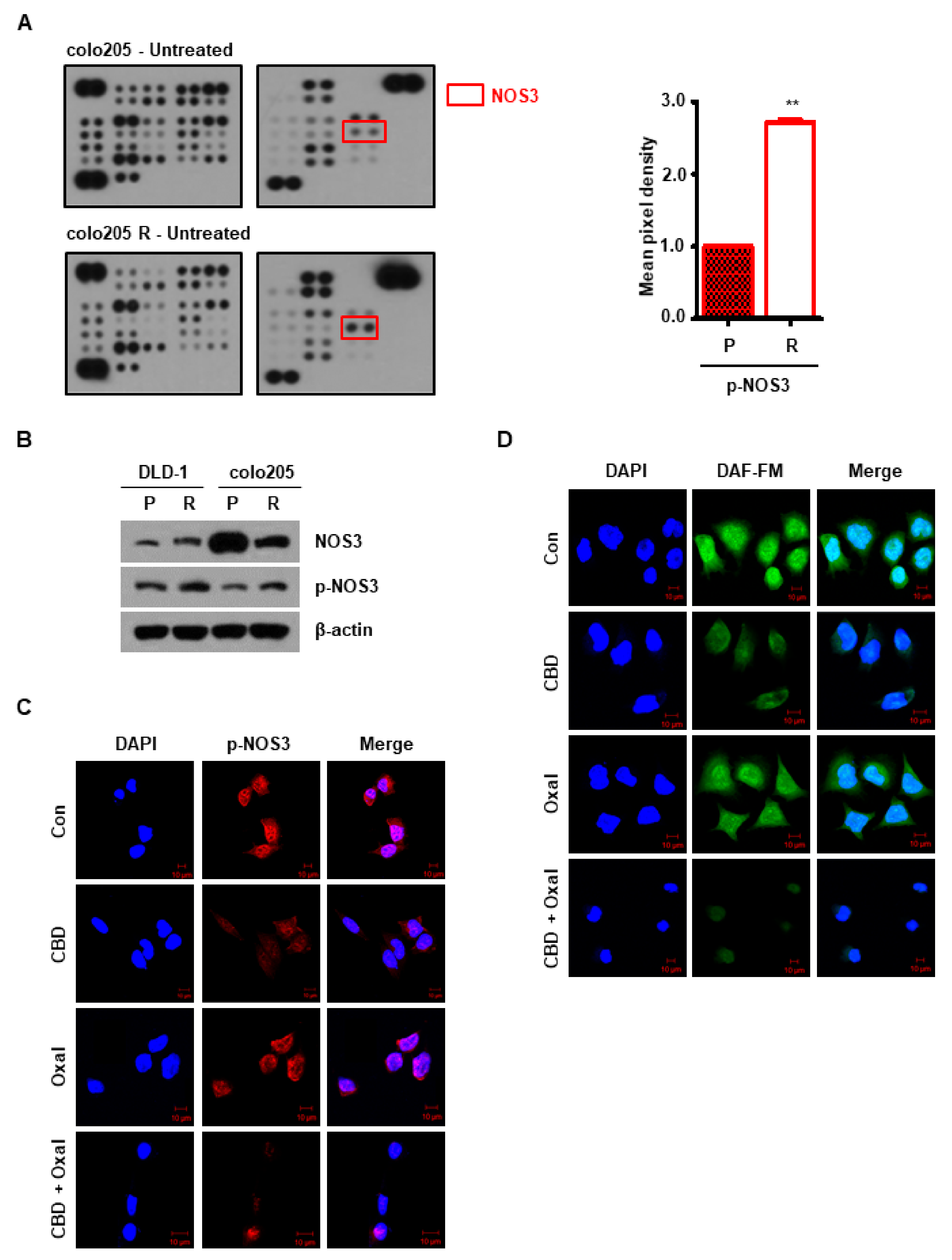 Cancers 11 00781 g0a2