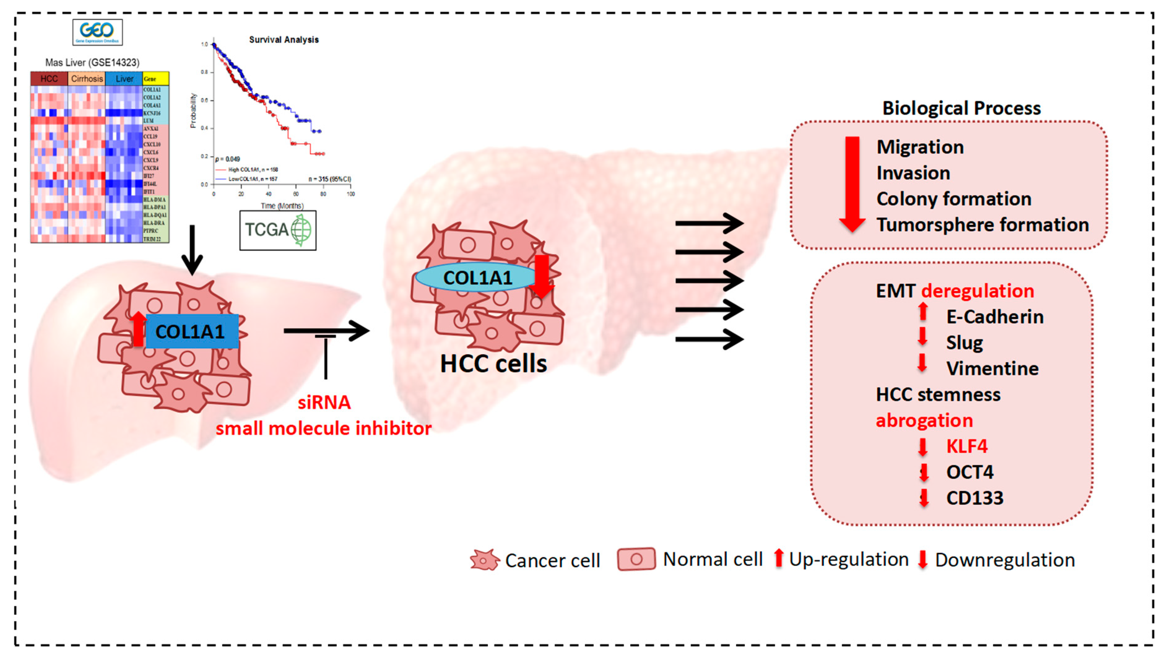 Cancers 11 00786 g006 Cancers 11 00786 g006