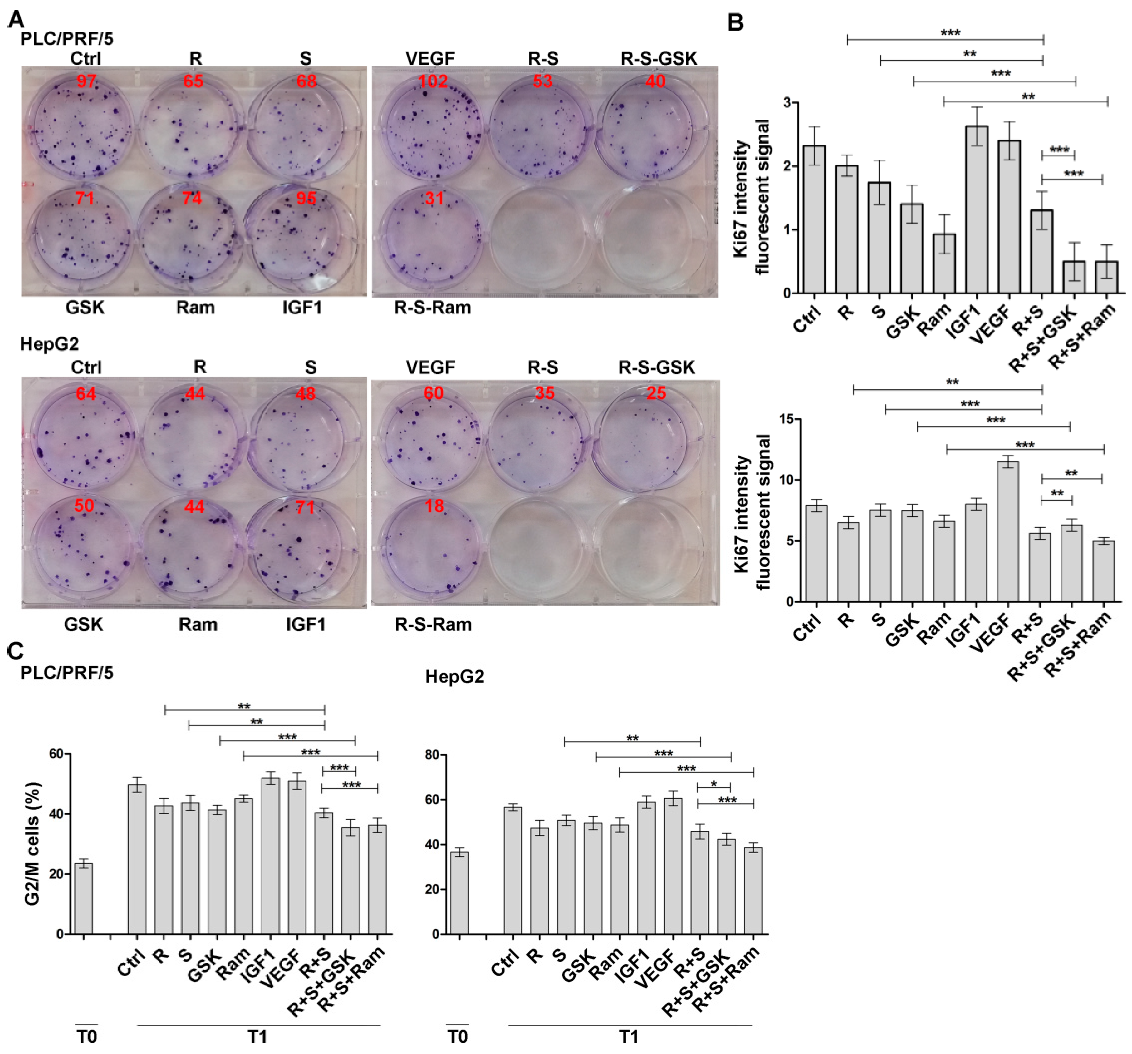 Cancers 11 00787 g002 Cancers 11 00787 g002