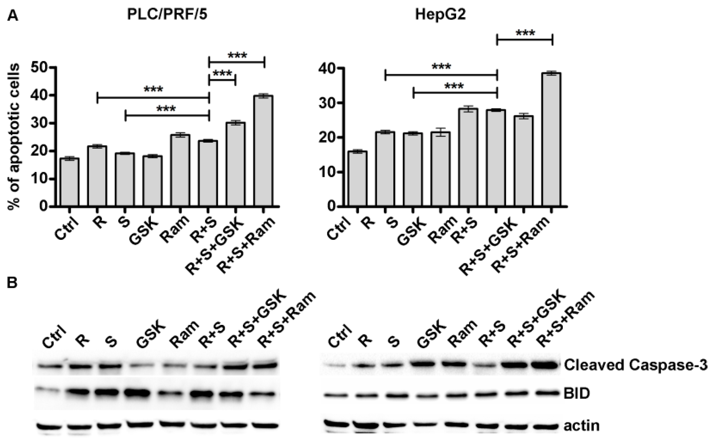 Cancers 11 00787 g003 Cancers 11 00787 g003