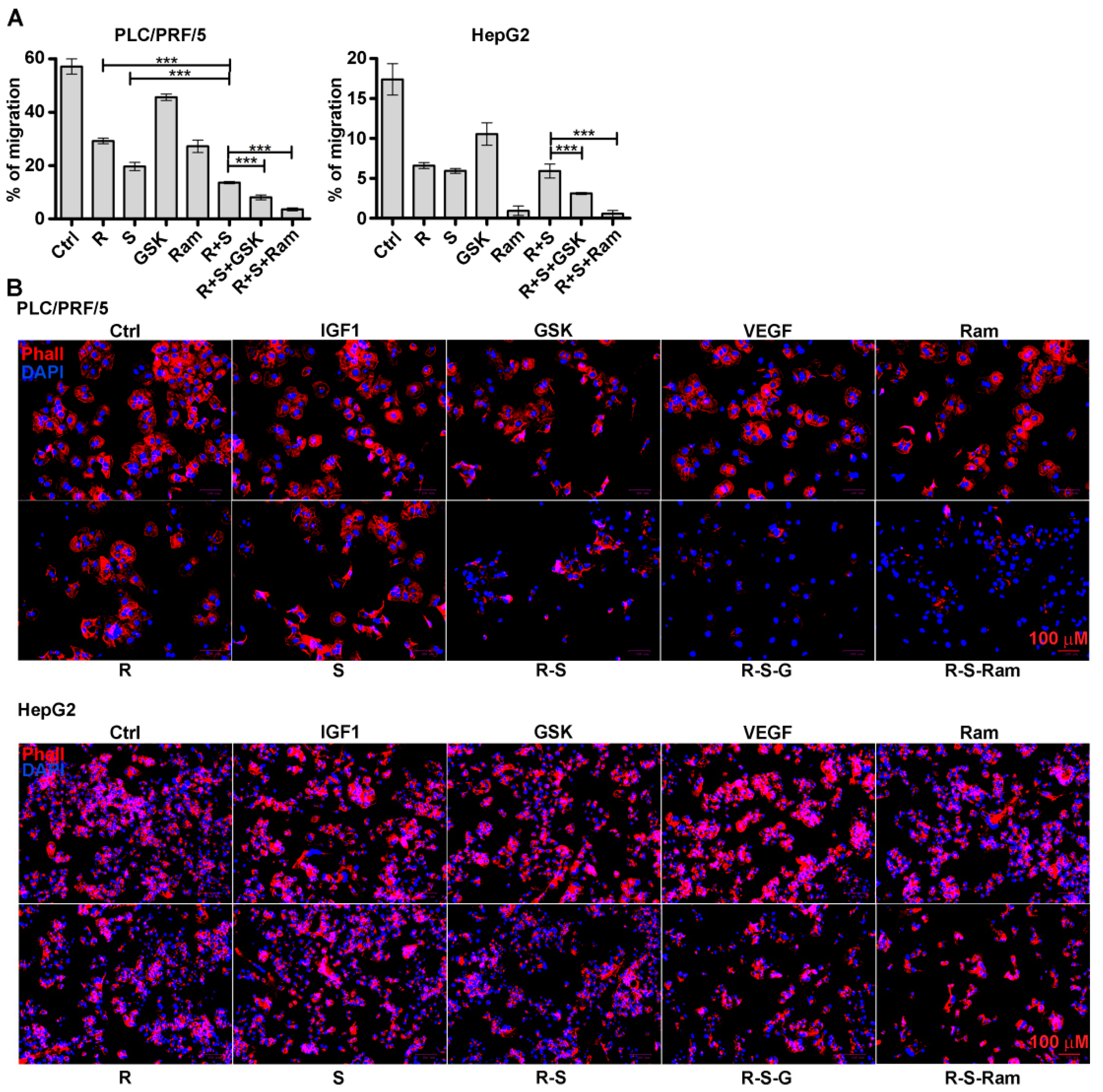 Cancers 11 00787 g004 Cancers 11 00787 g004
