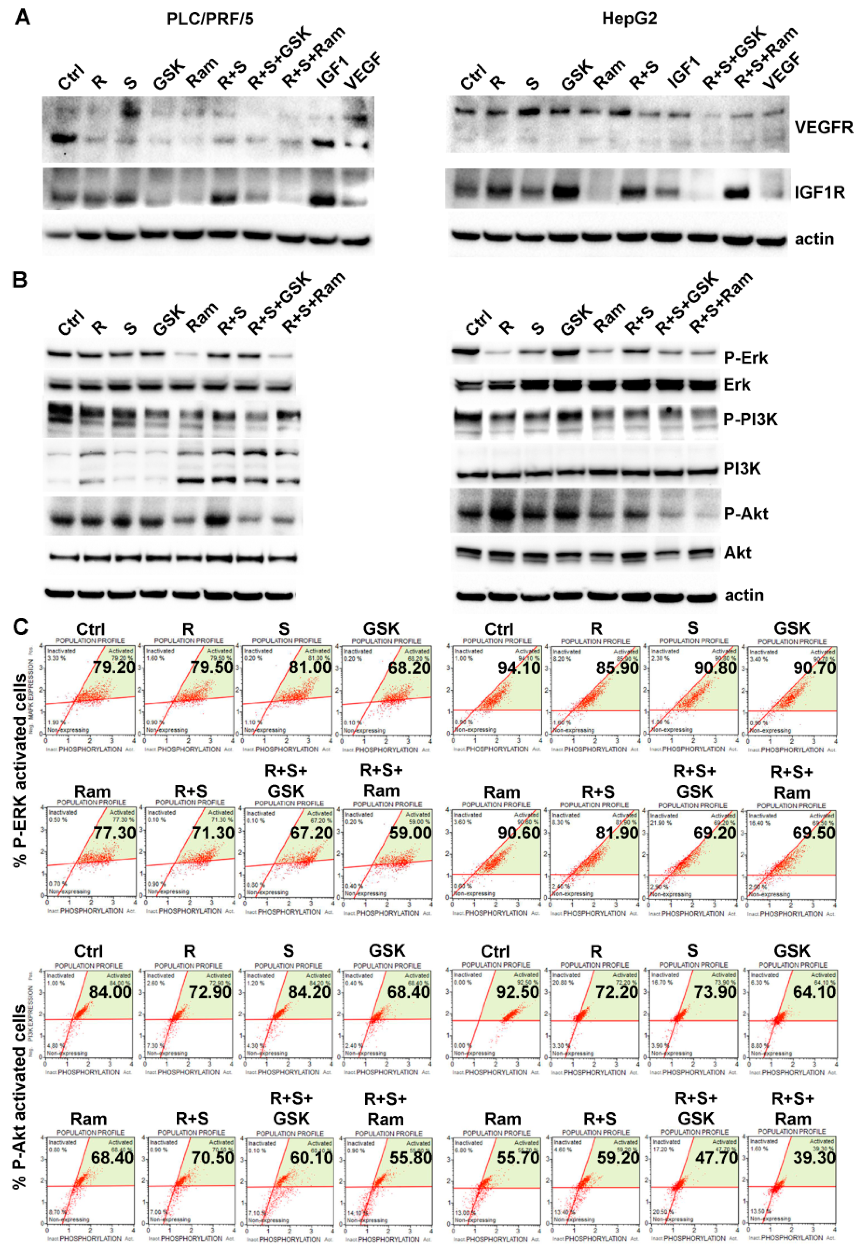 Cancers 11 00787 g006 Cancers 11 00787 g006