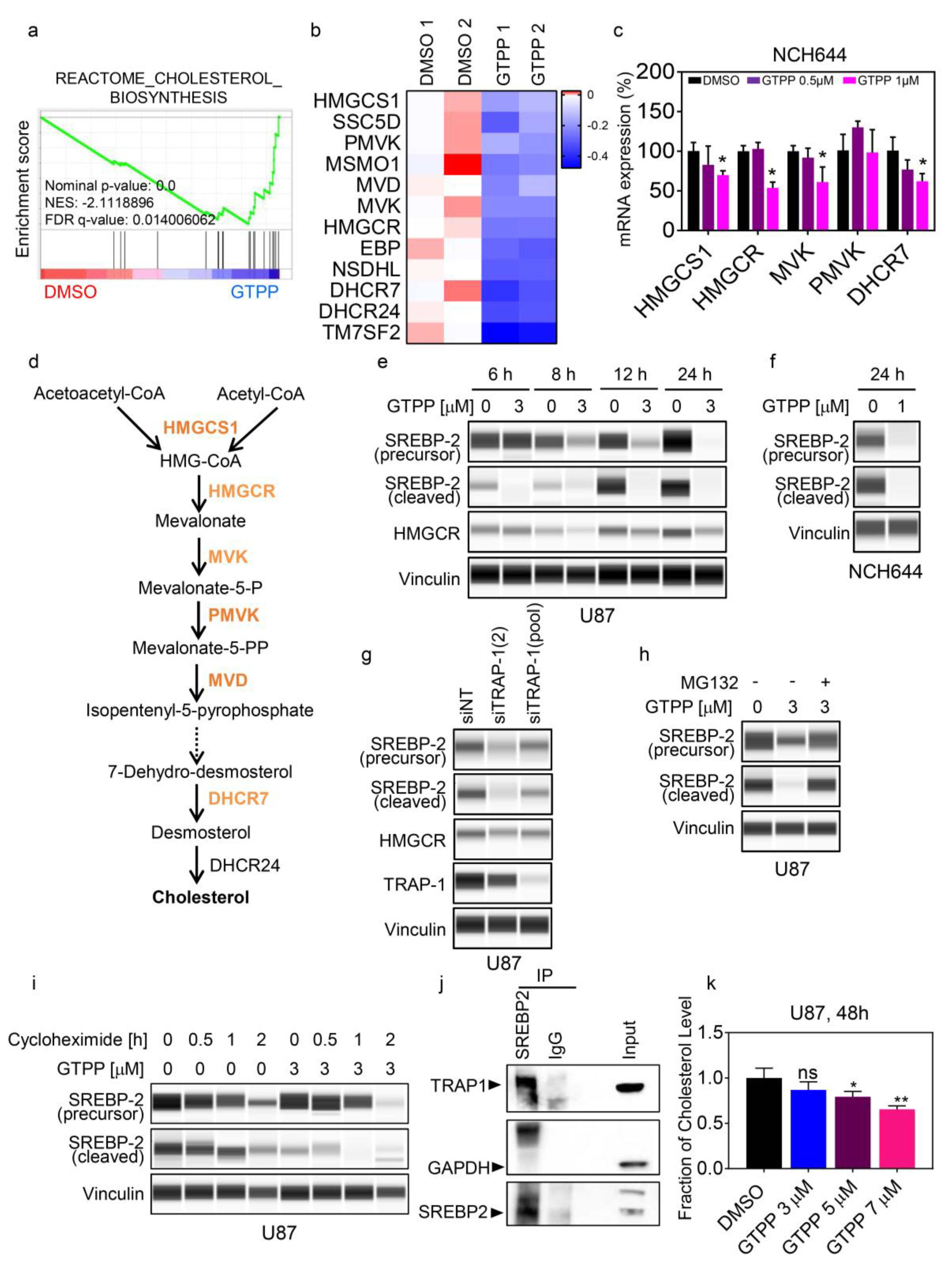 Cancers 11 00788 g001 Cancers 11 00788 g001