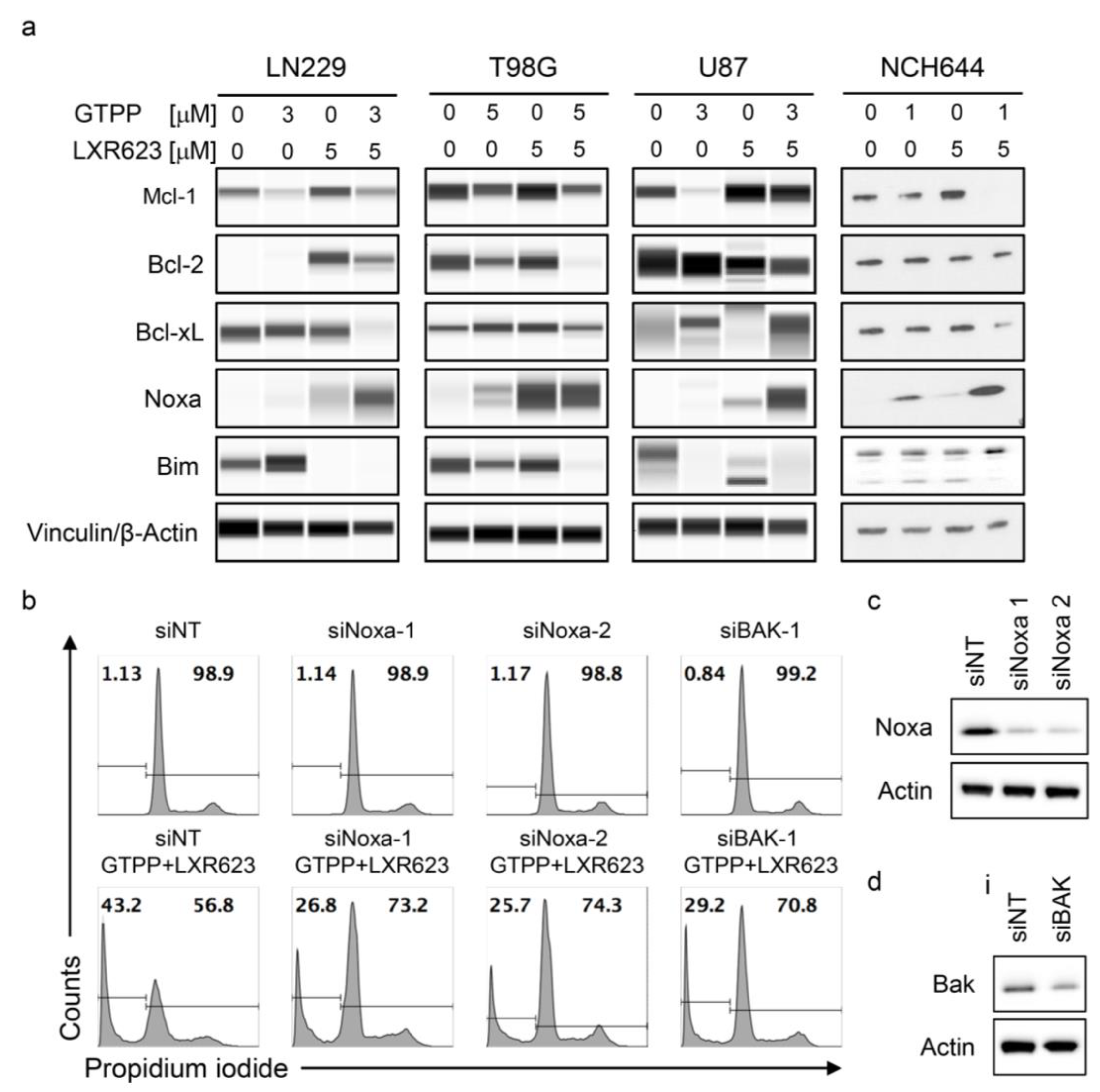 Cancers 11 00788 g004 Cancers 11 00788 g004