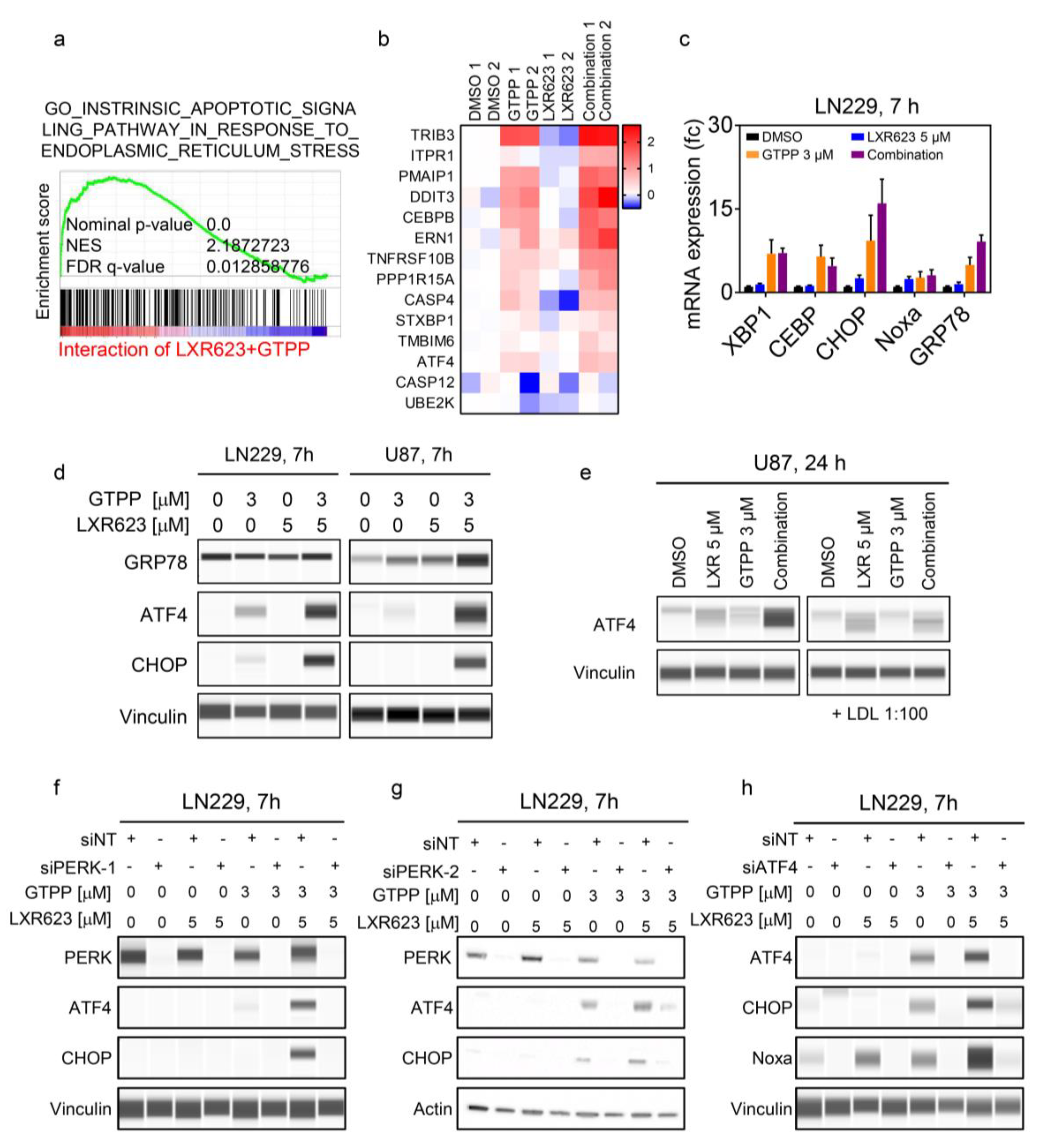 Cancers 11 00788 g005 Cancers 11 00788 g005