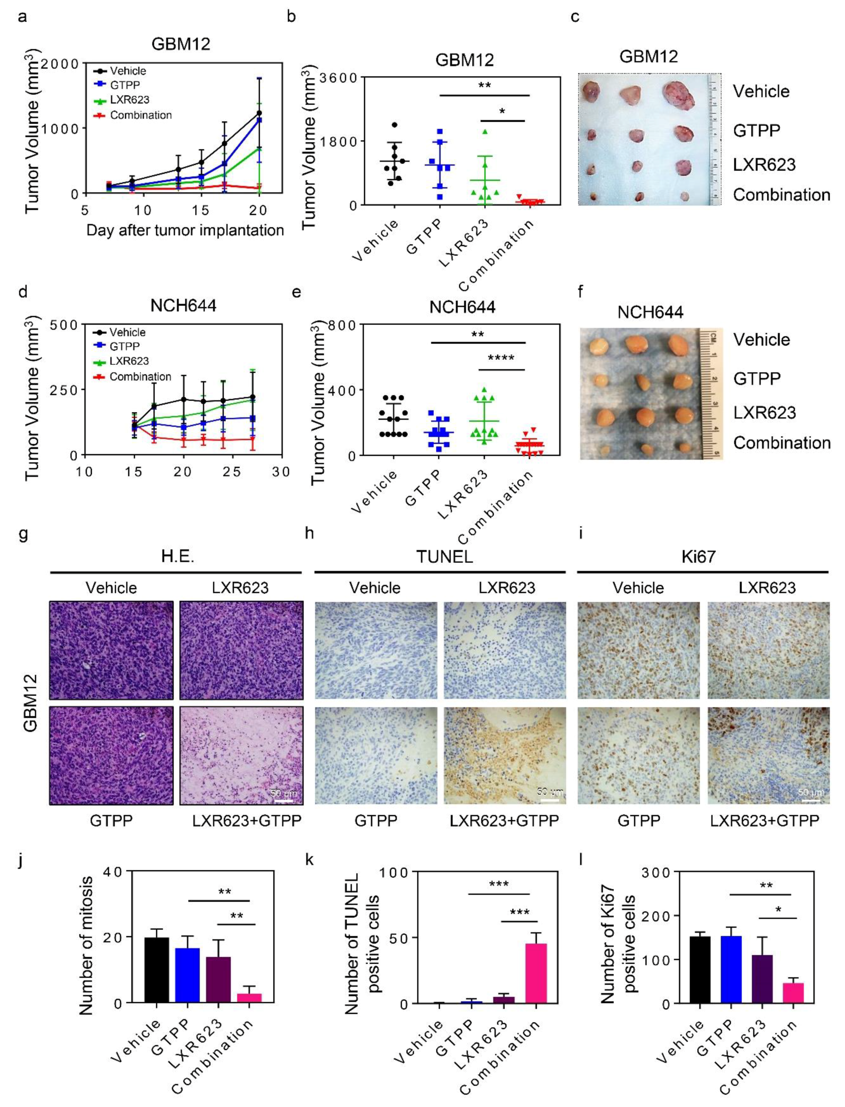 Cancers 11 00788 g006 Cancers 11 00788 g006