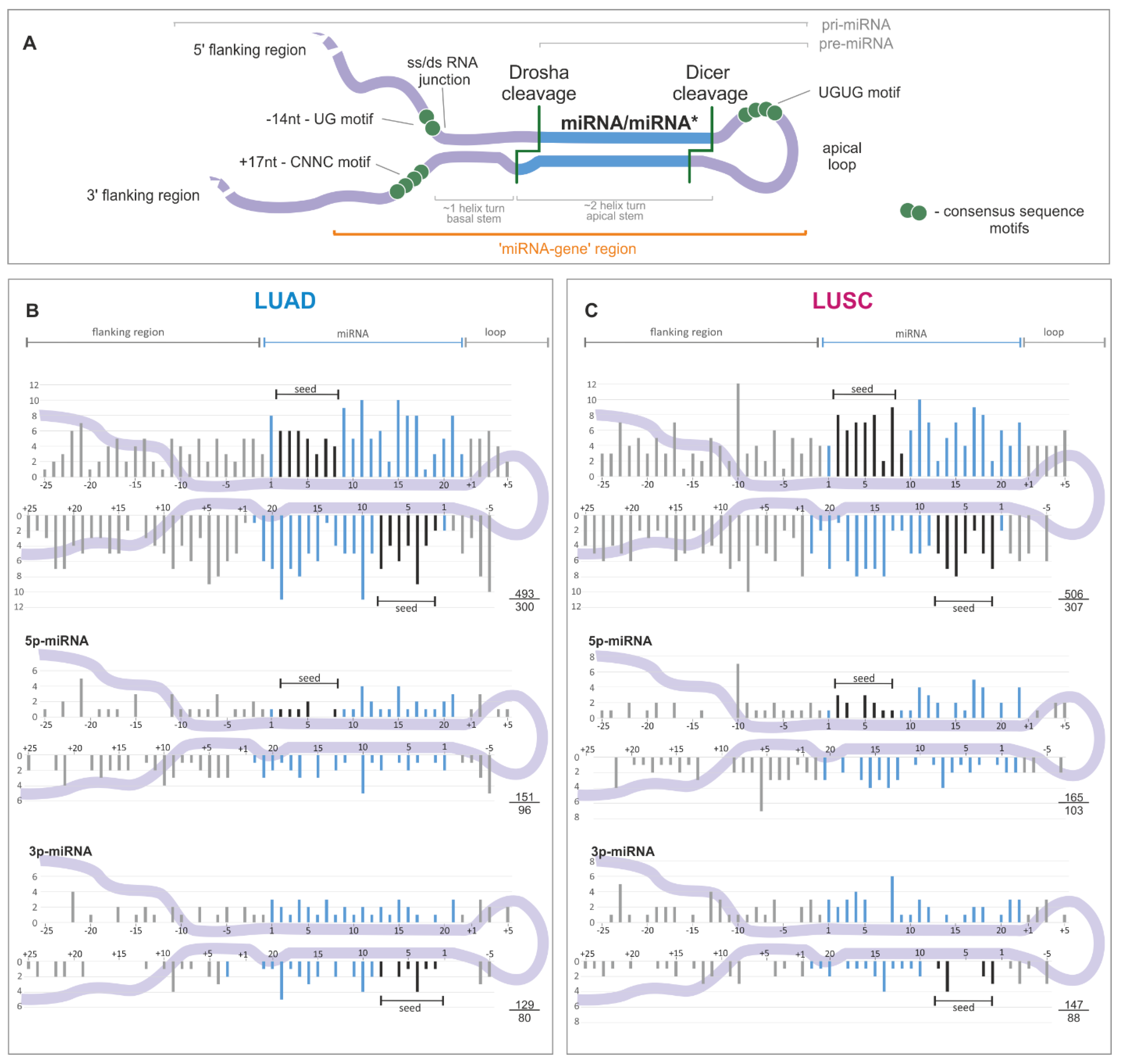 Cancers 11 00793 g002 Cancers 11 00793 g002