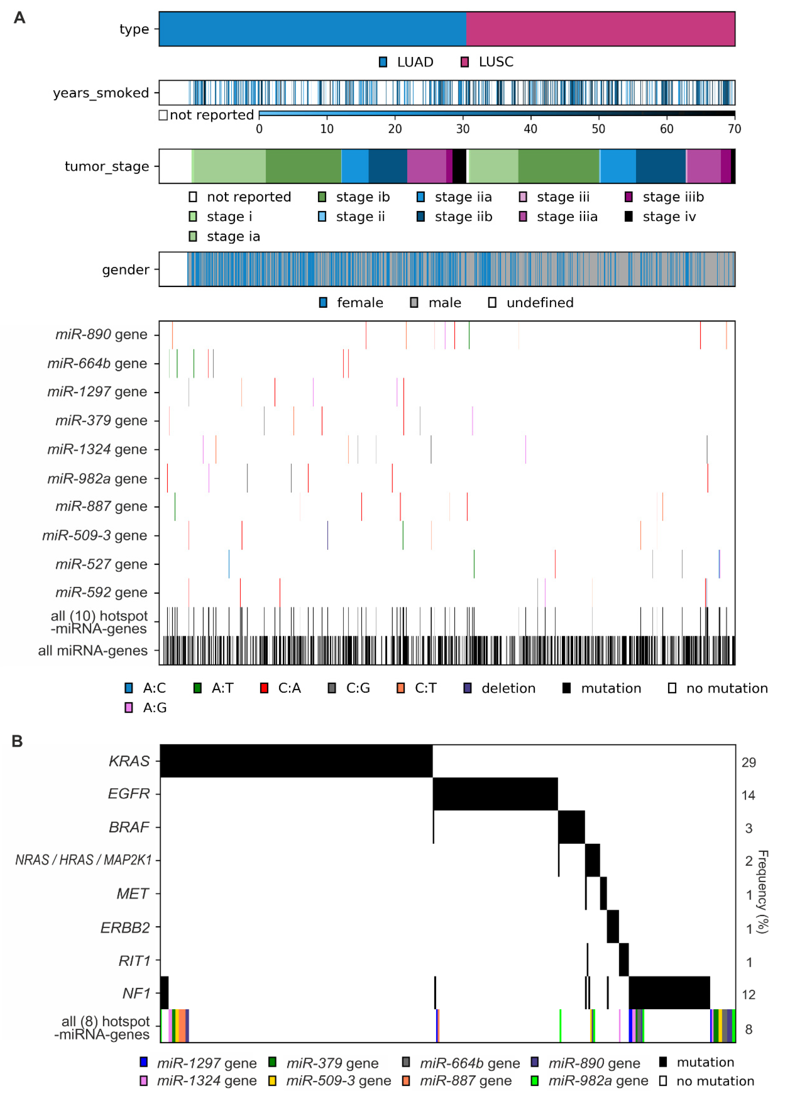 Cancers 11 00793 g005 Cancers 11 00793 g005