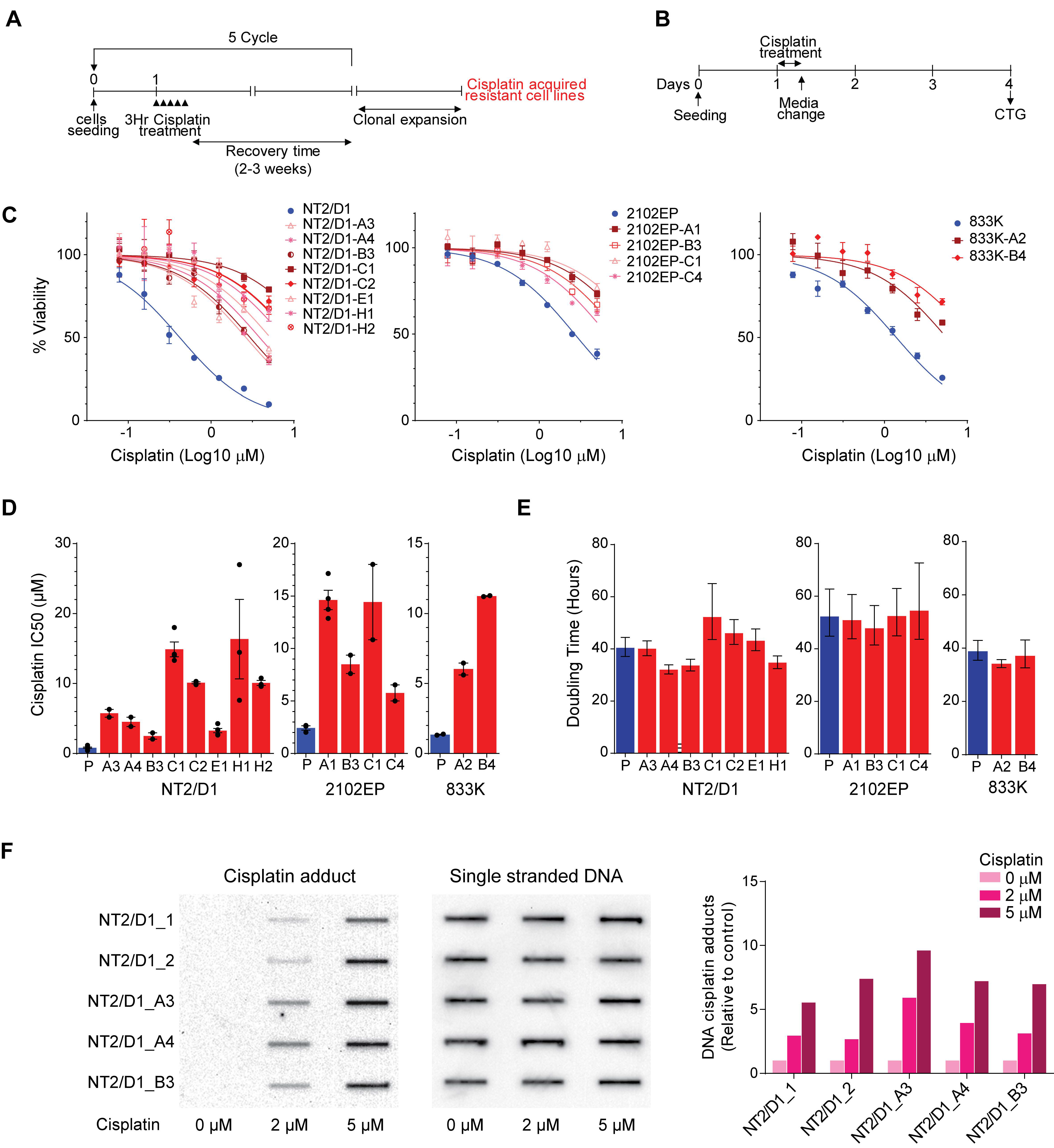 Cancers 11 00796 g001 Cancers 11 00796 g001