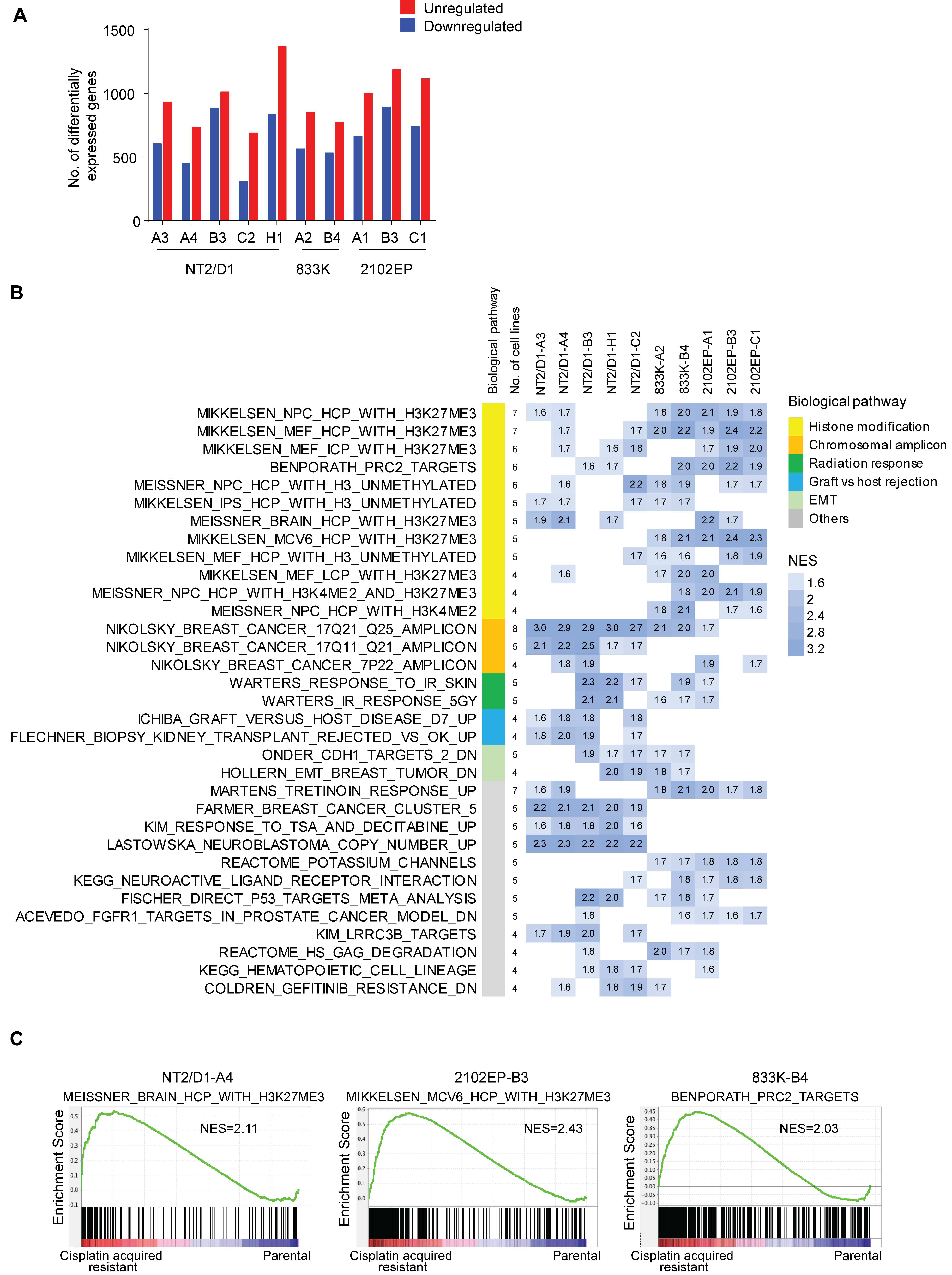 Cancers 11 00796 g002 Cancers 11 00796 g002
