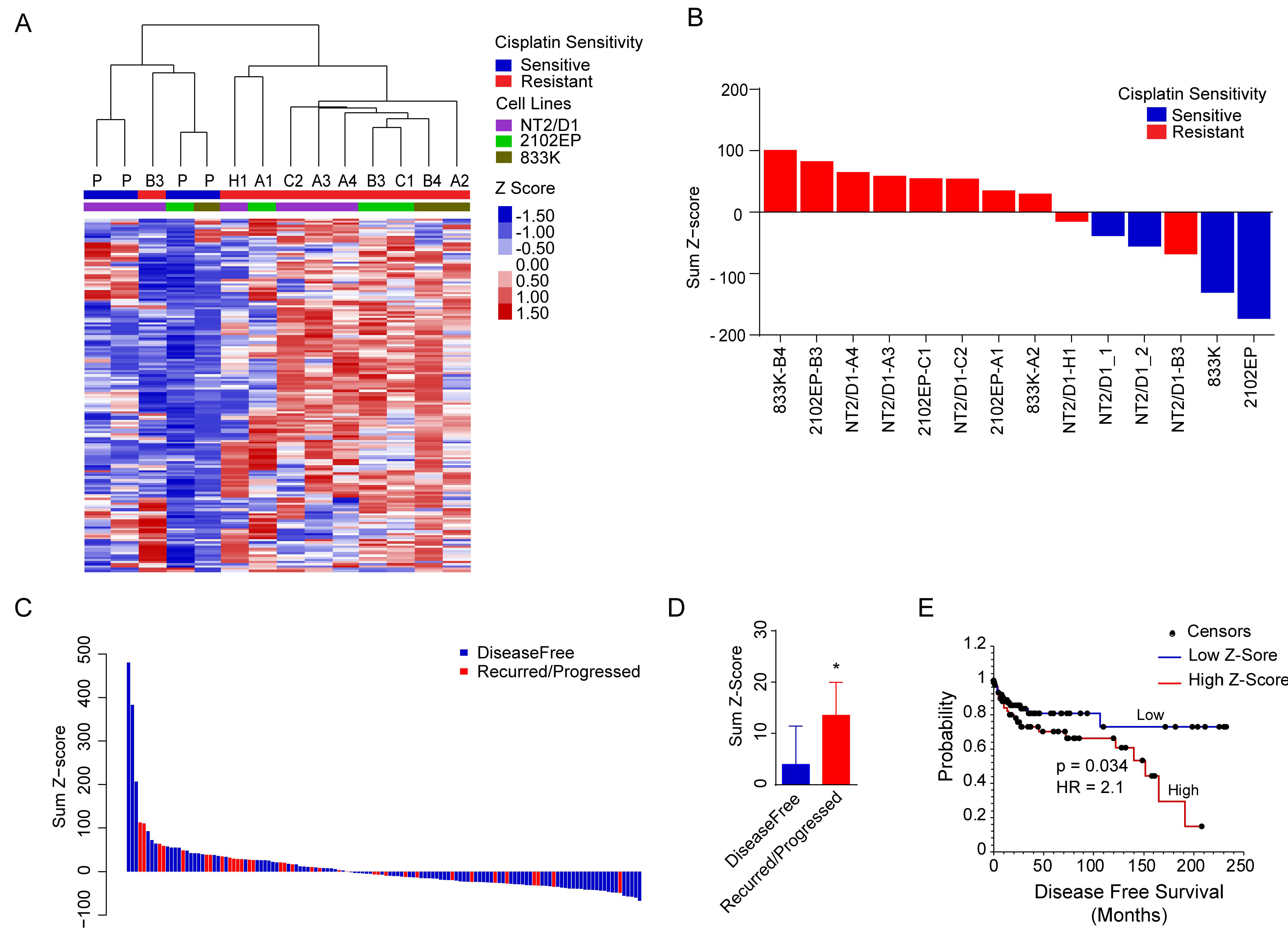 Cancers 11 00796 g005 Cancers 11 00796 g005