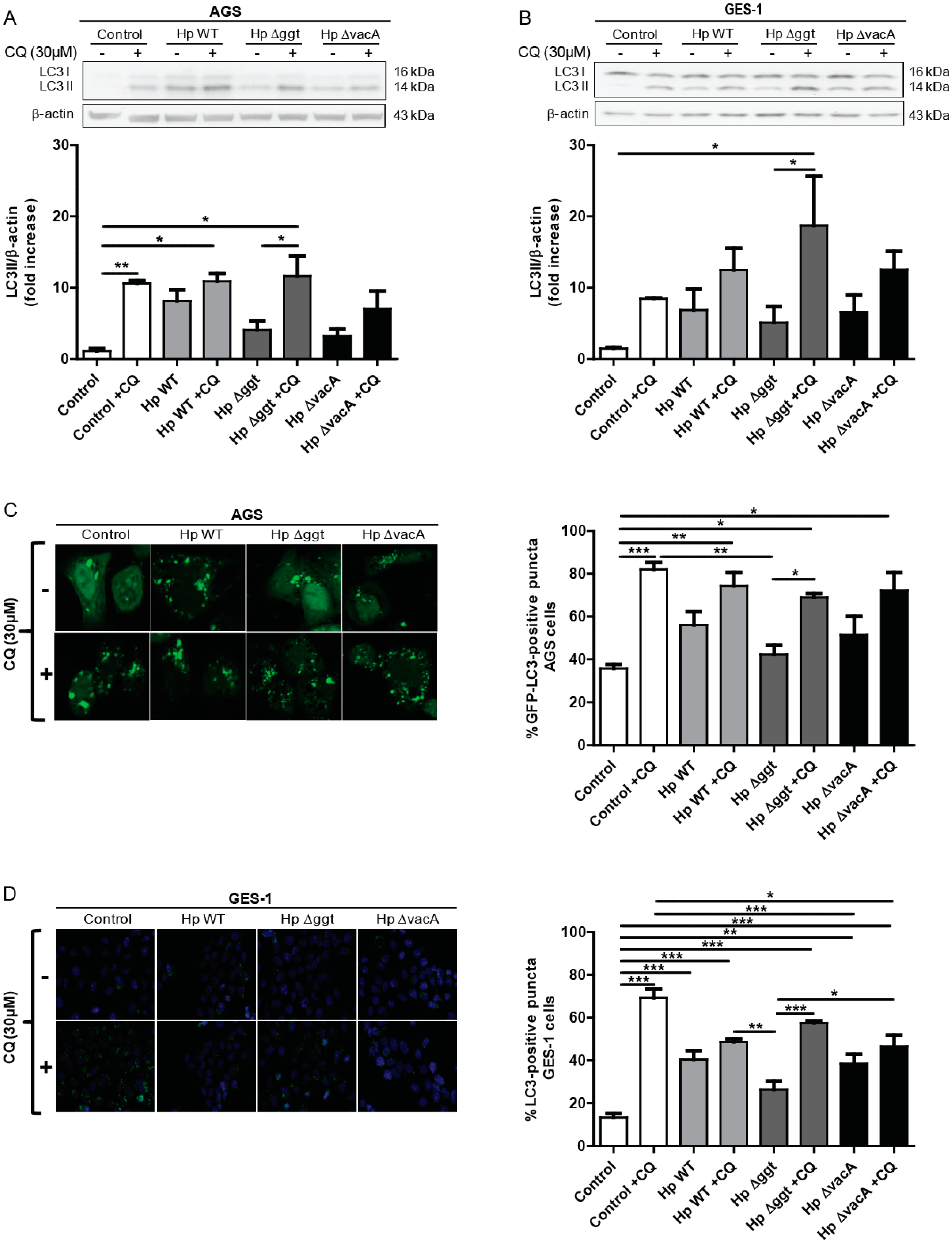 Cancers 11 00801 g001 Cancers 11 00801 g001