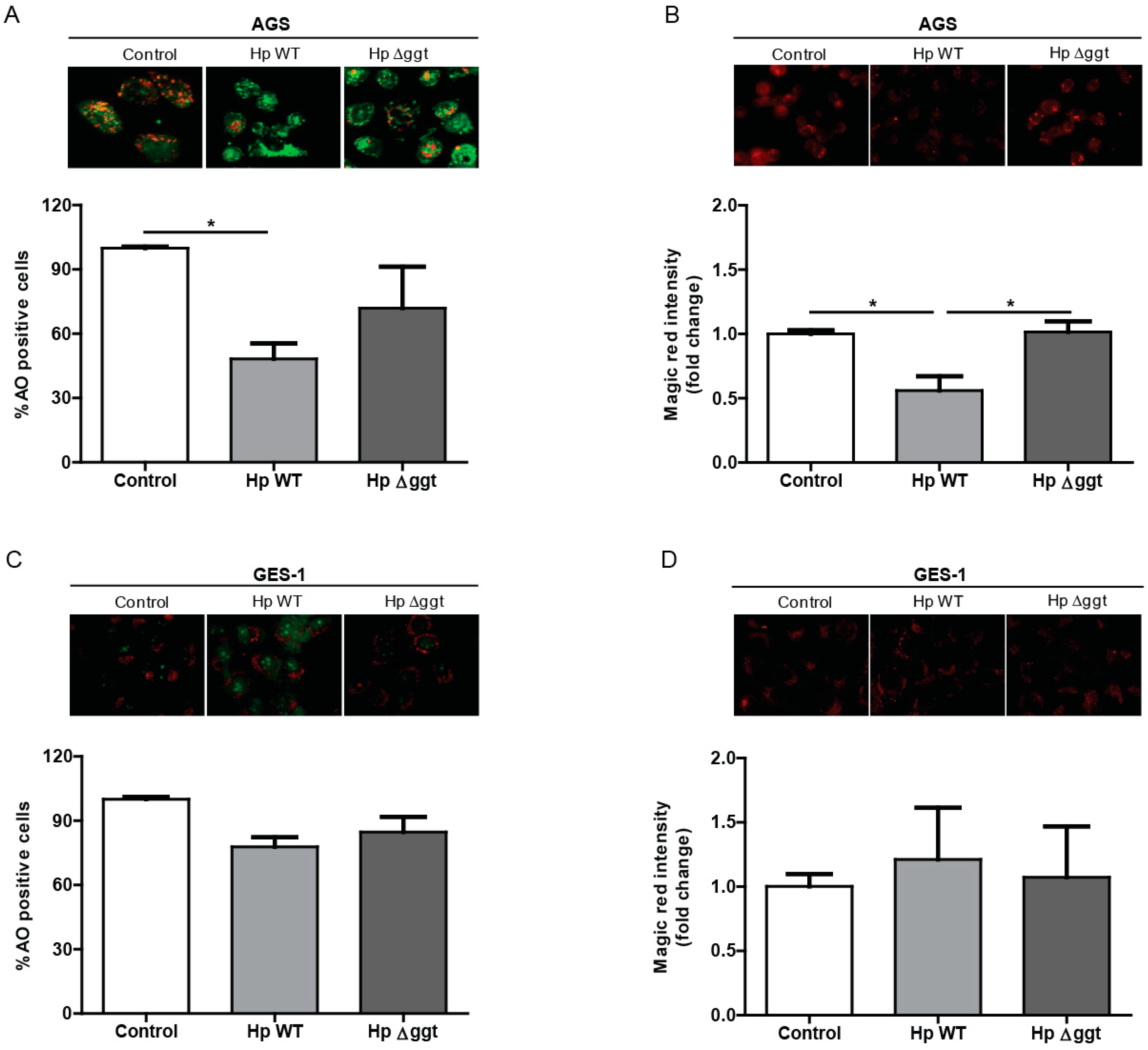 Cancers 11 00801 g004 Cancers 11 00801 g004