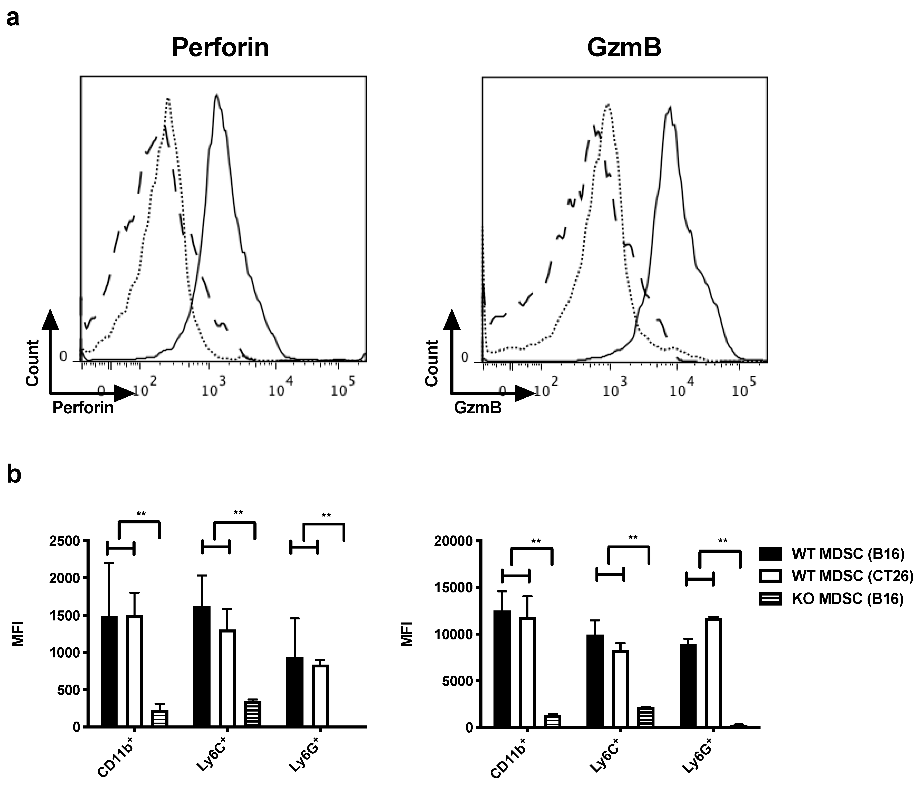 Cancers 11 00808 g001