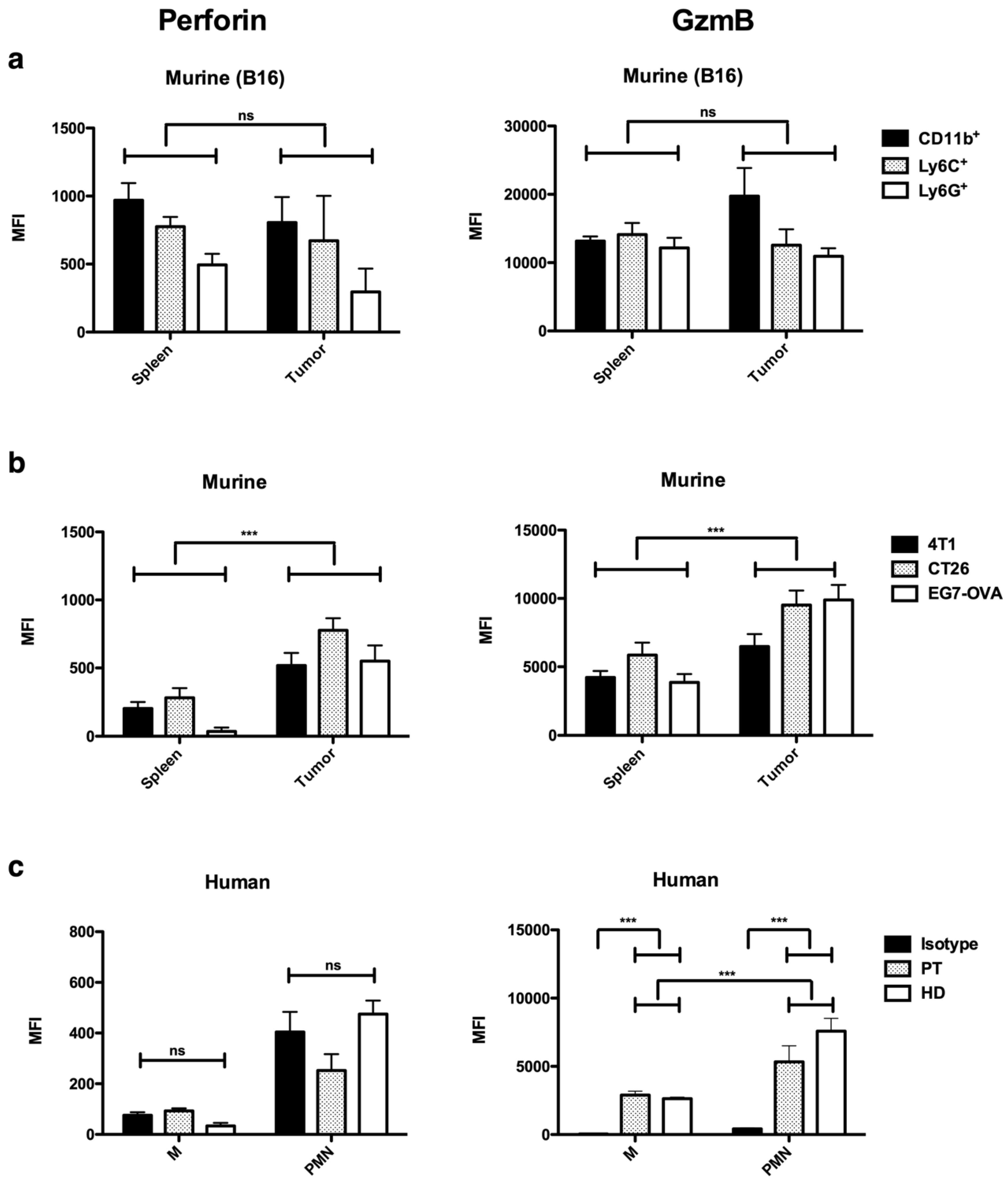Cancers 11 00808 g002