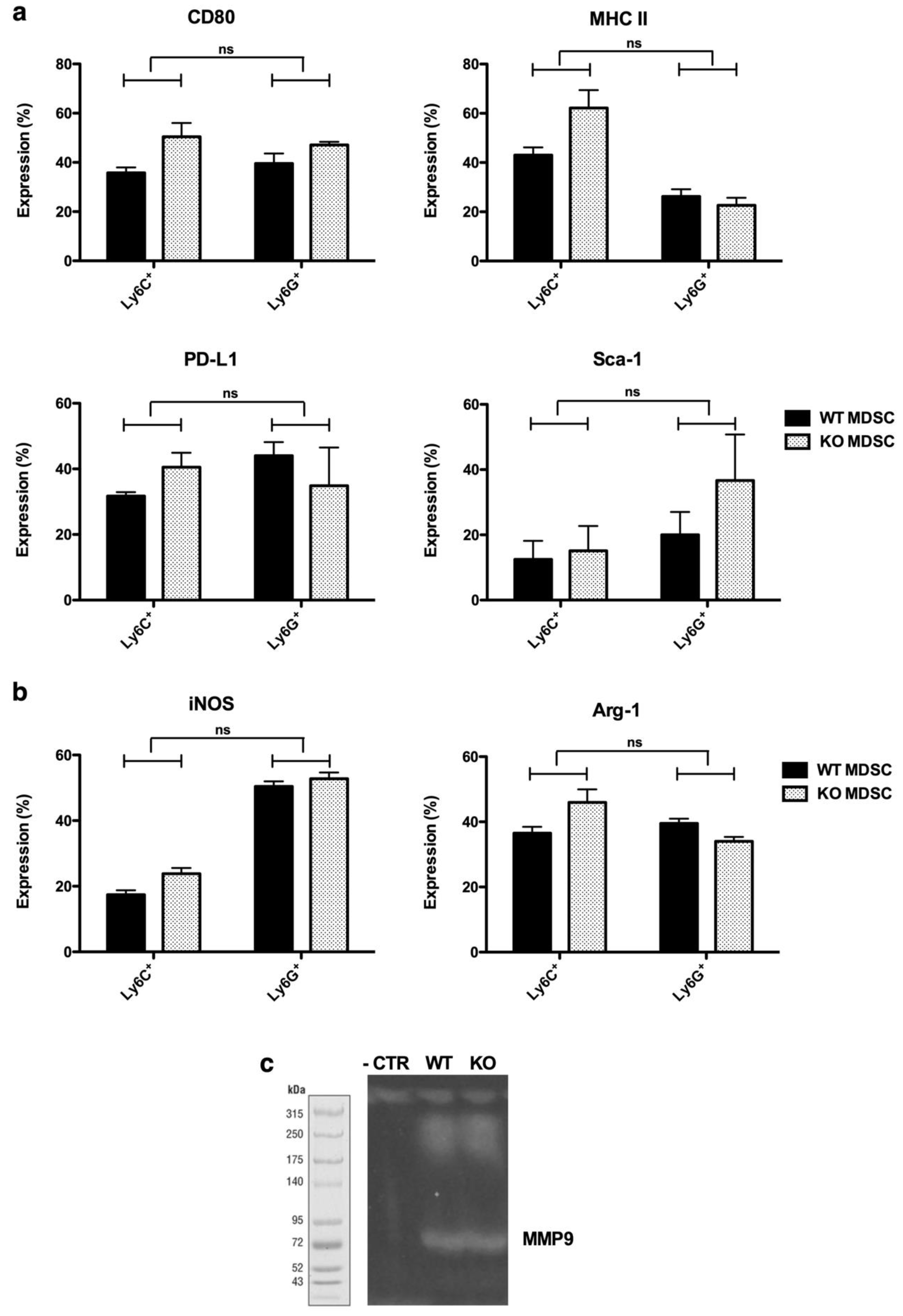 Cancers 11 00808 g003