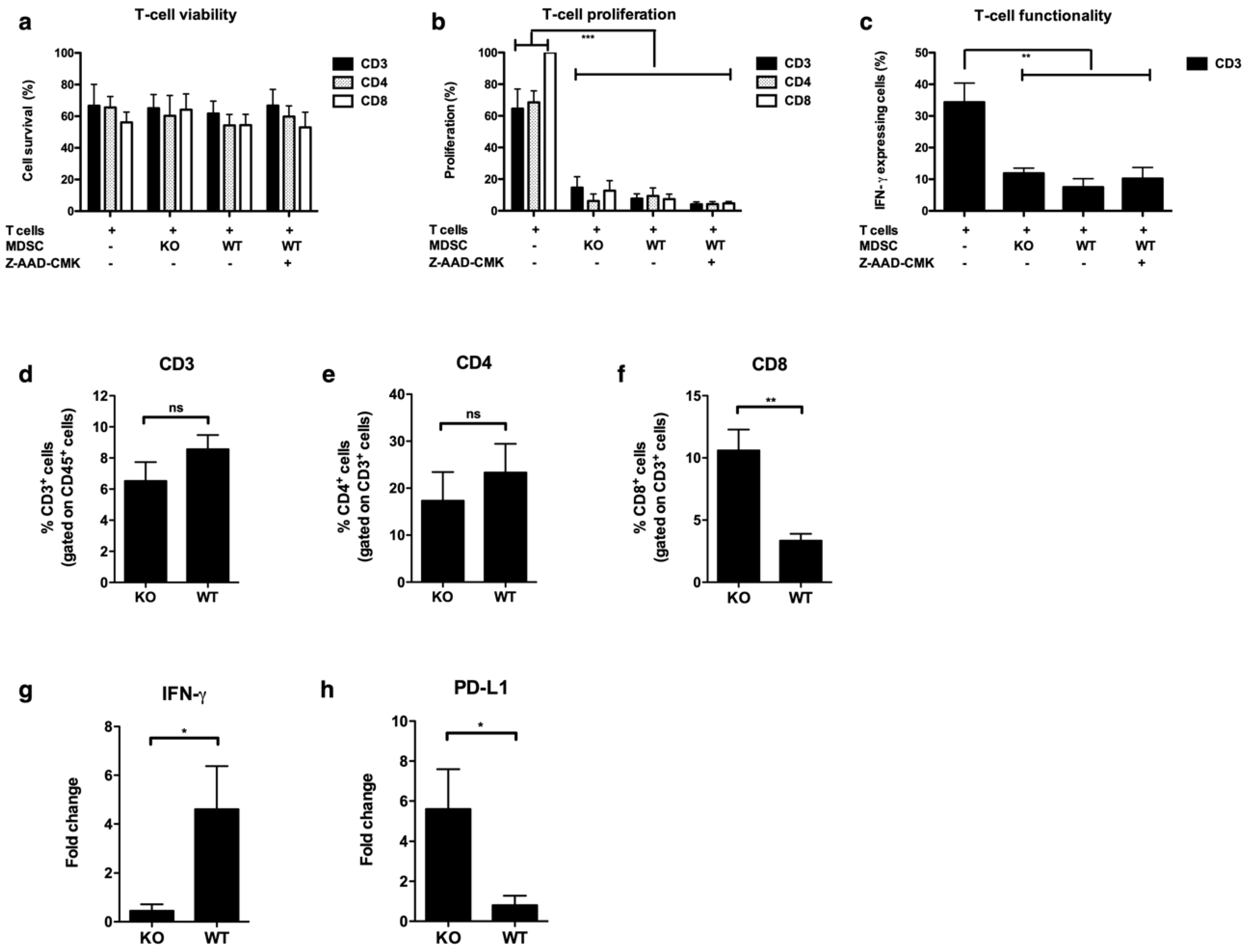 Cancers 11 00808 g006