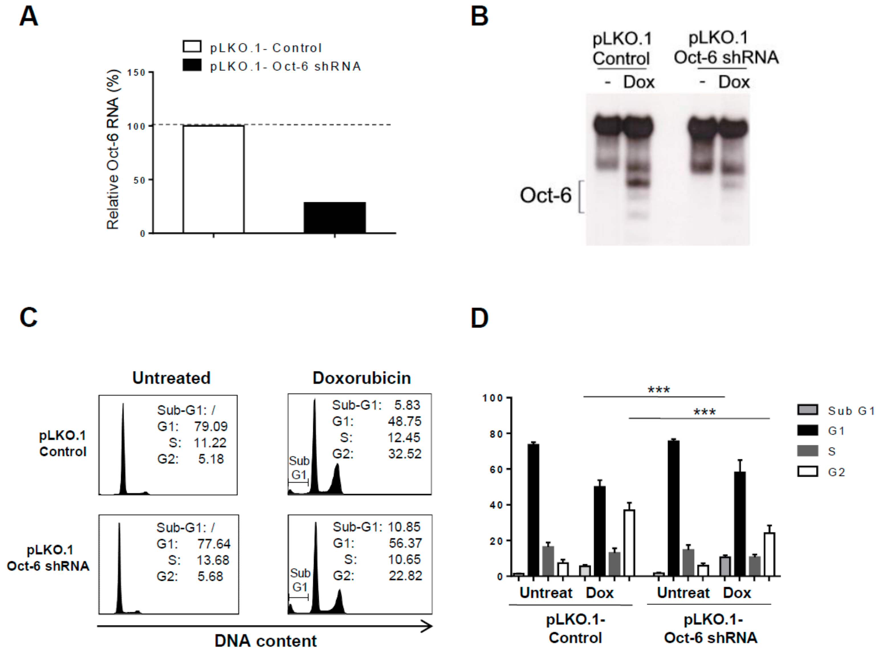 Cancers 11 00810 g003