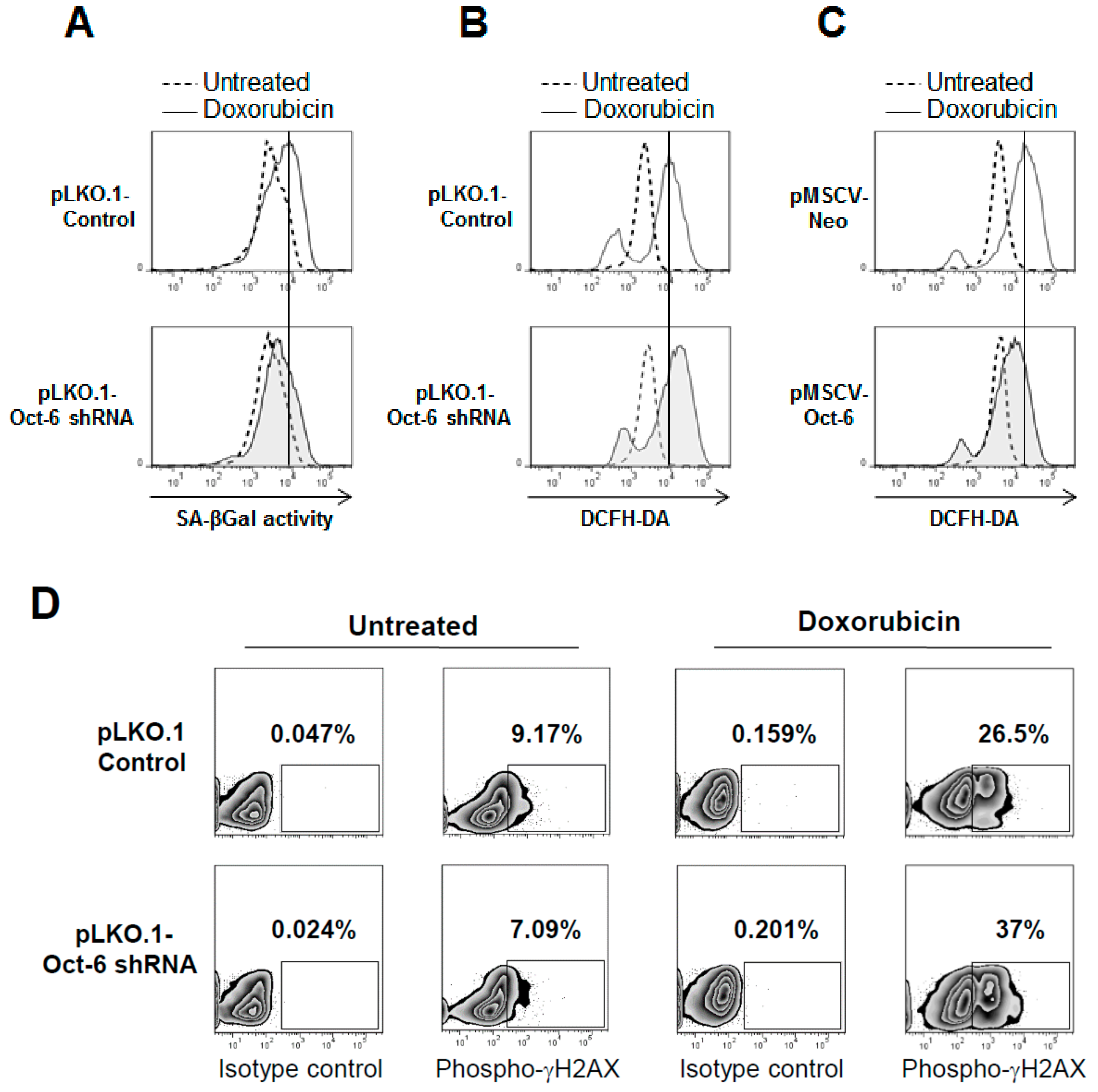 Cancers 11 00810 g004