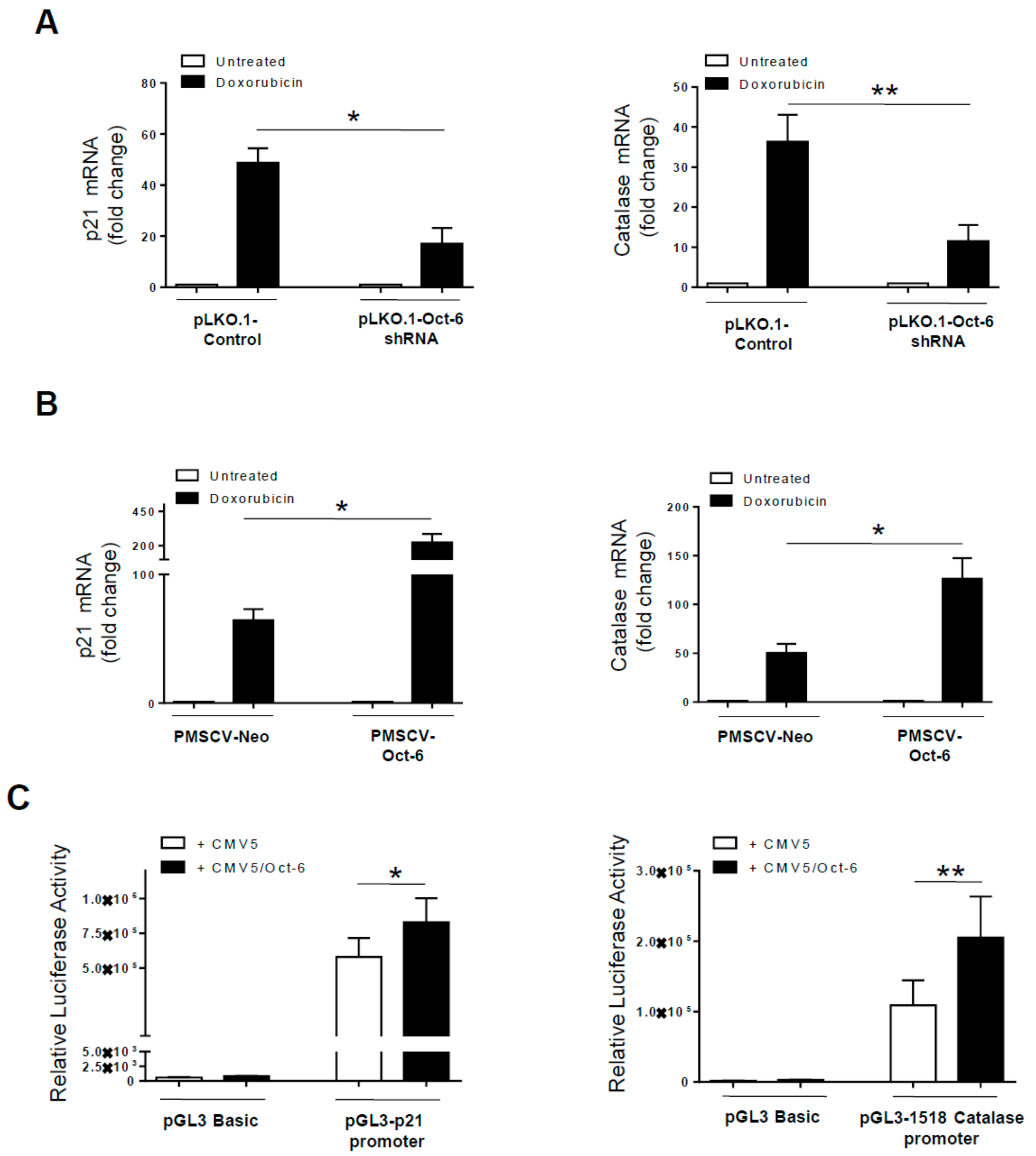 Cancers 11 00810 g005
