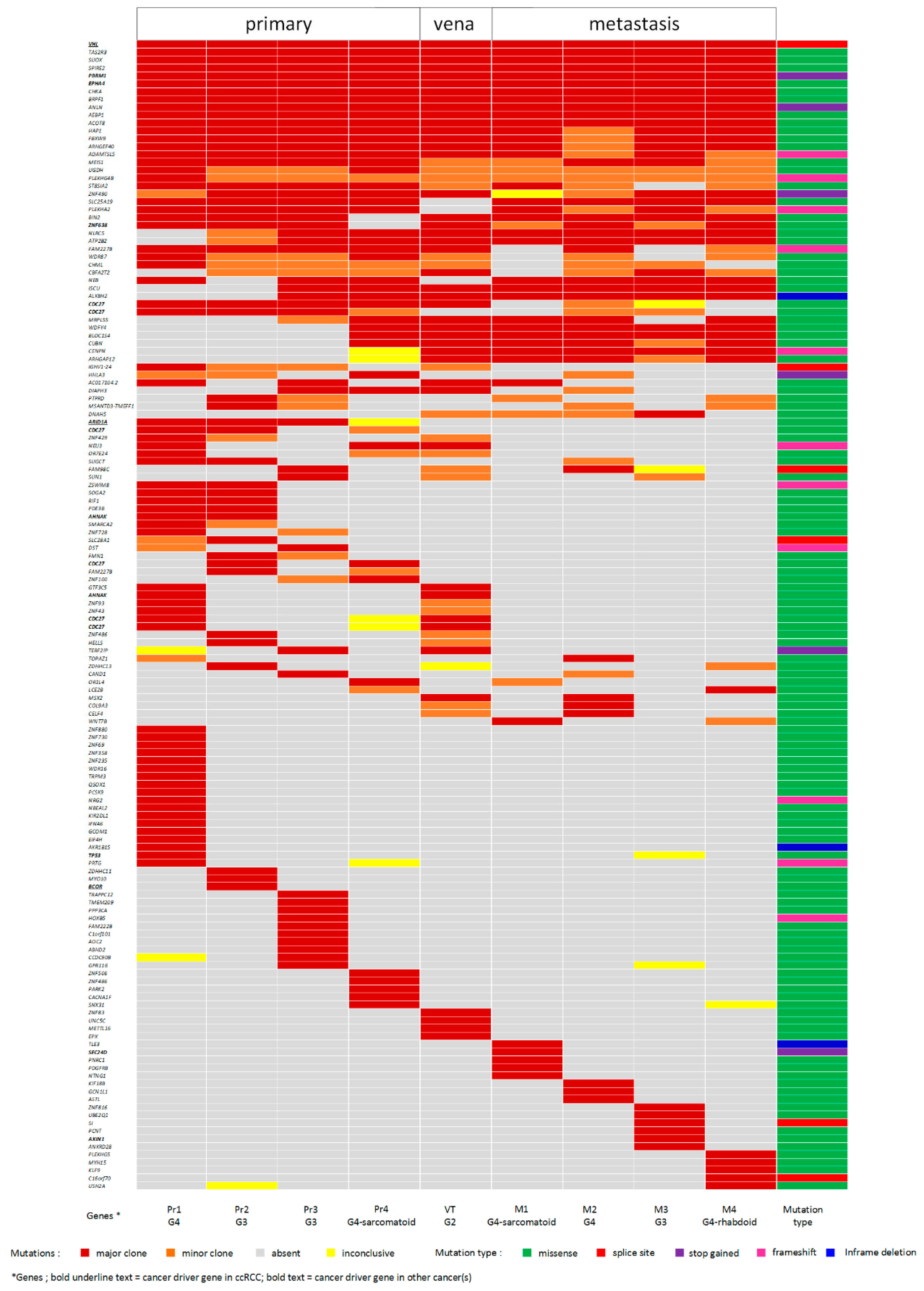 Cancers 11 00812 g003