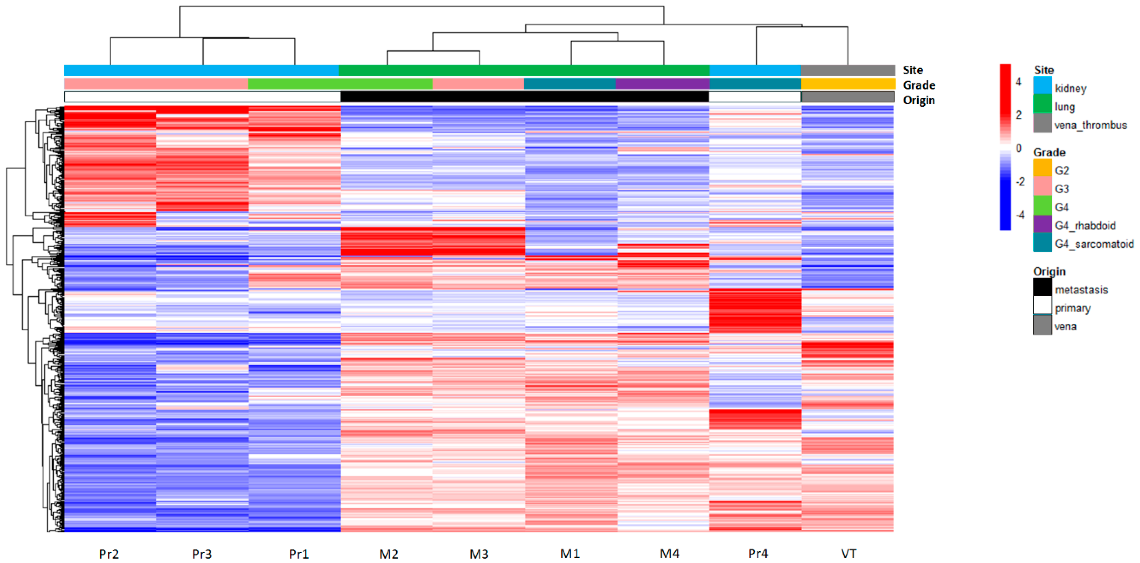 Cancers 11 00812 g004