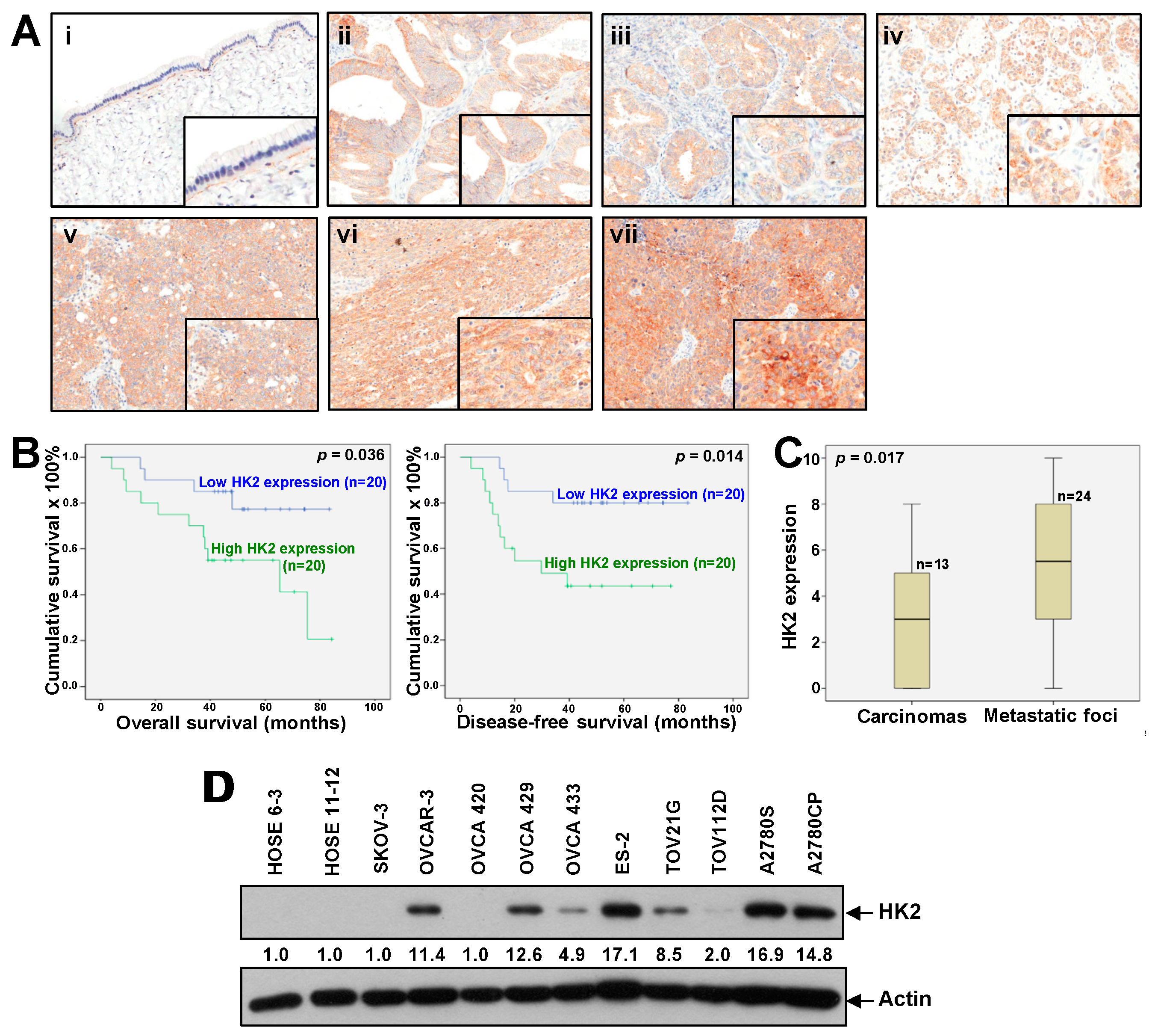 Cancers 11 00813 g001 Cancers 11 00813 g001