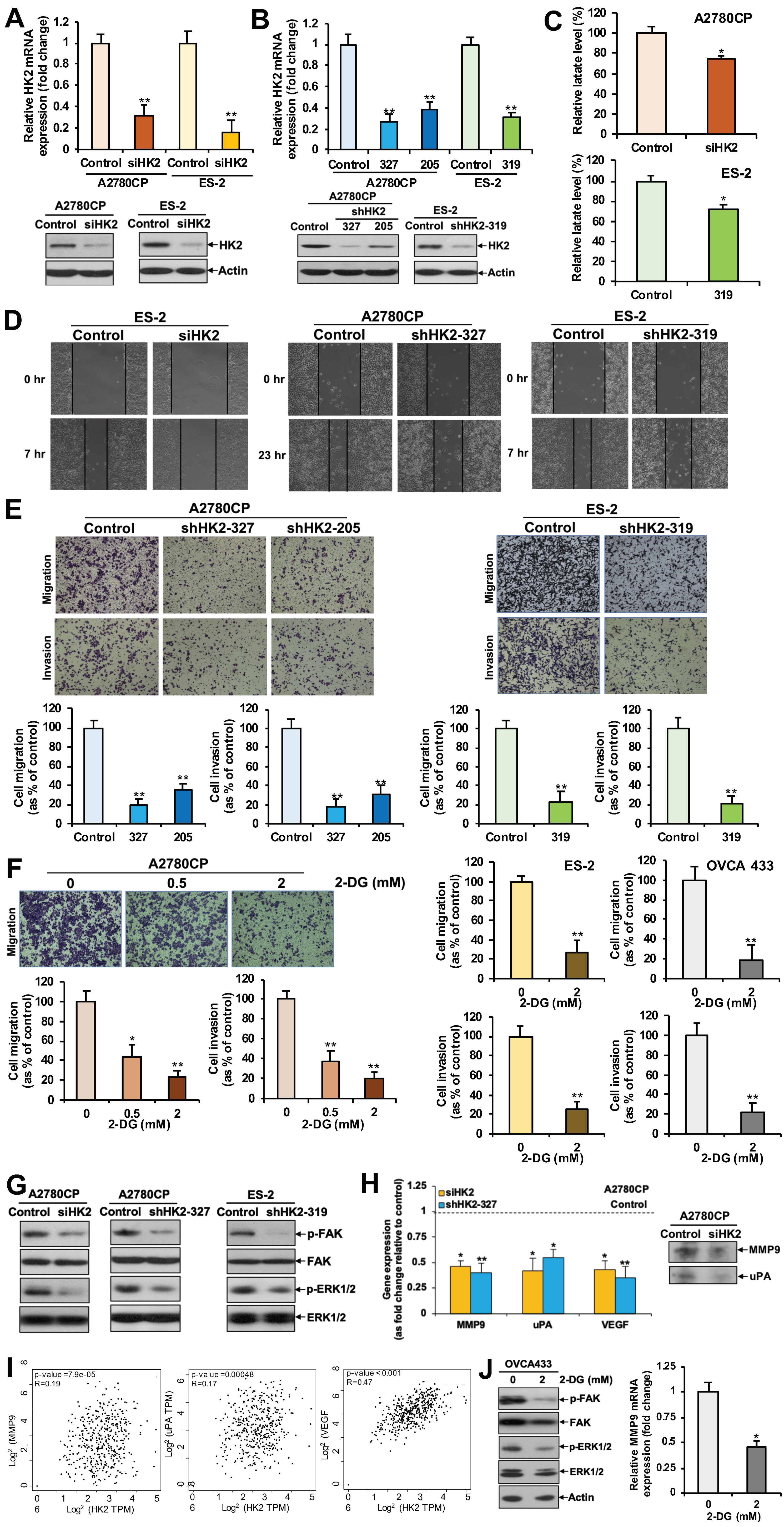 Cancers 11 00813 g002 Cancers 11 00813 g002