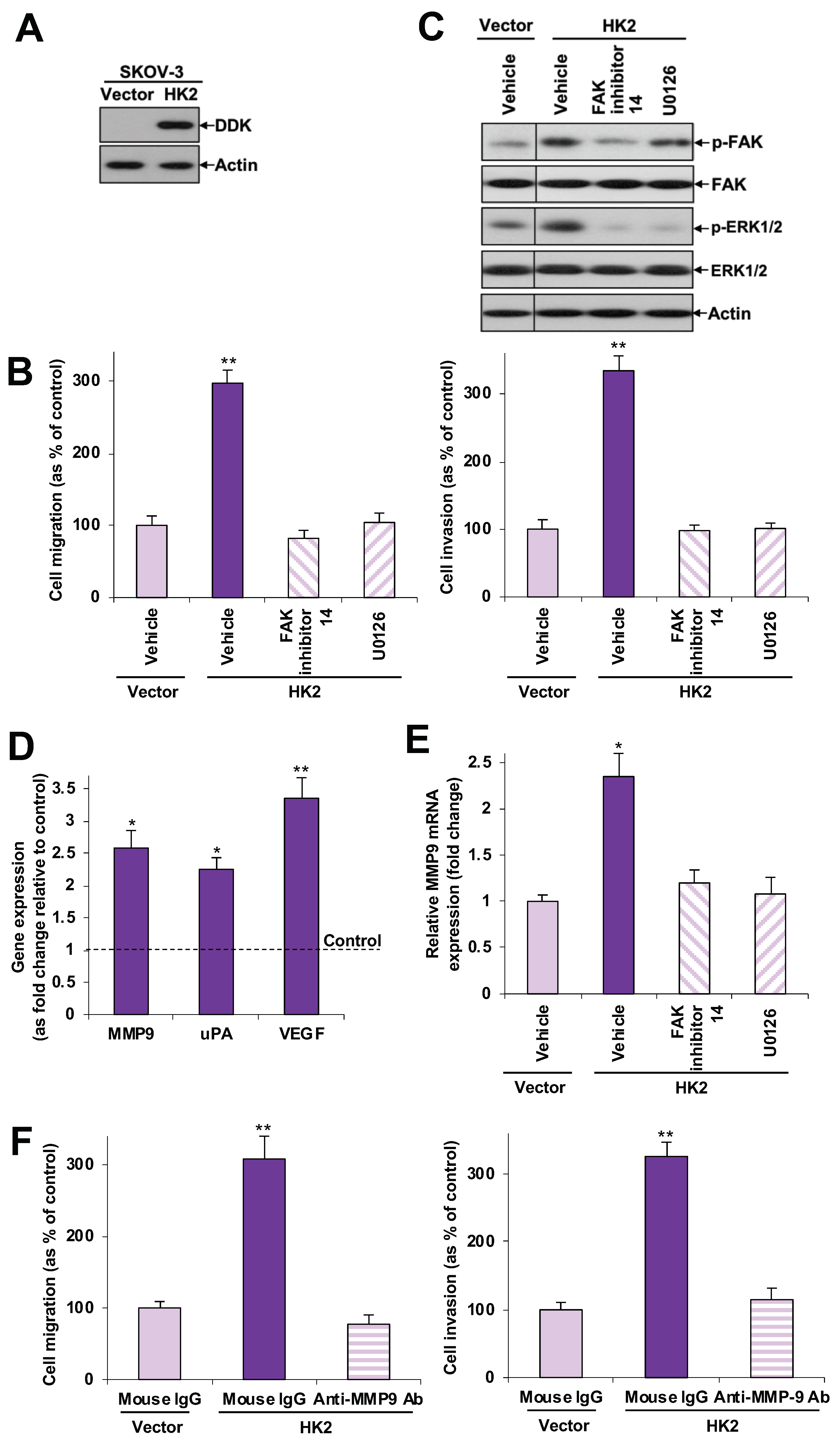 Cancers 11 00813 g003 Cancers 11 00813 g003