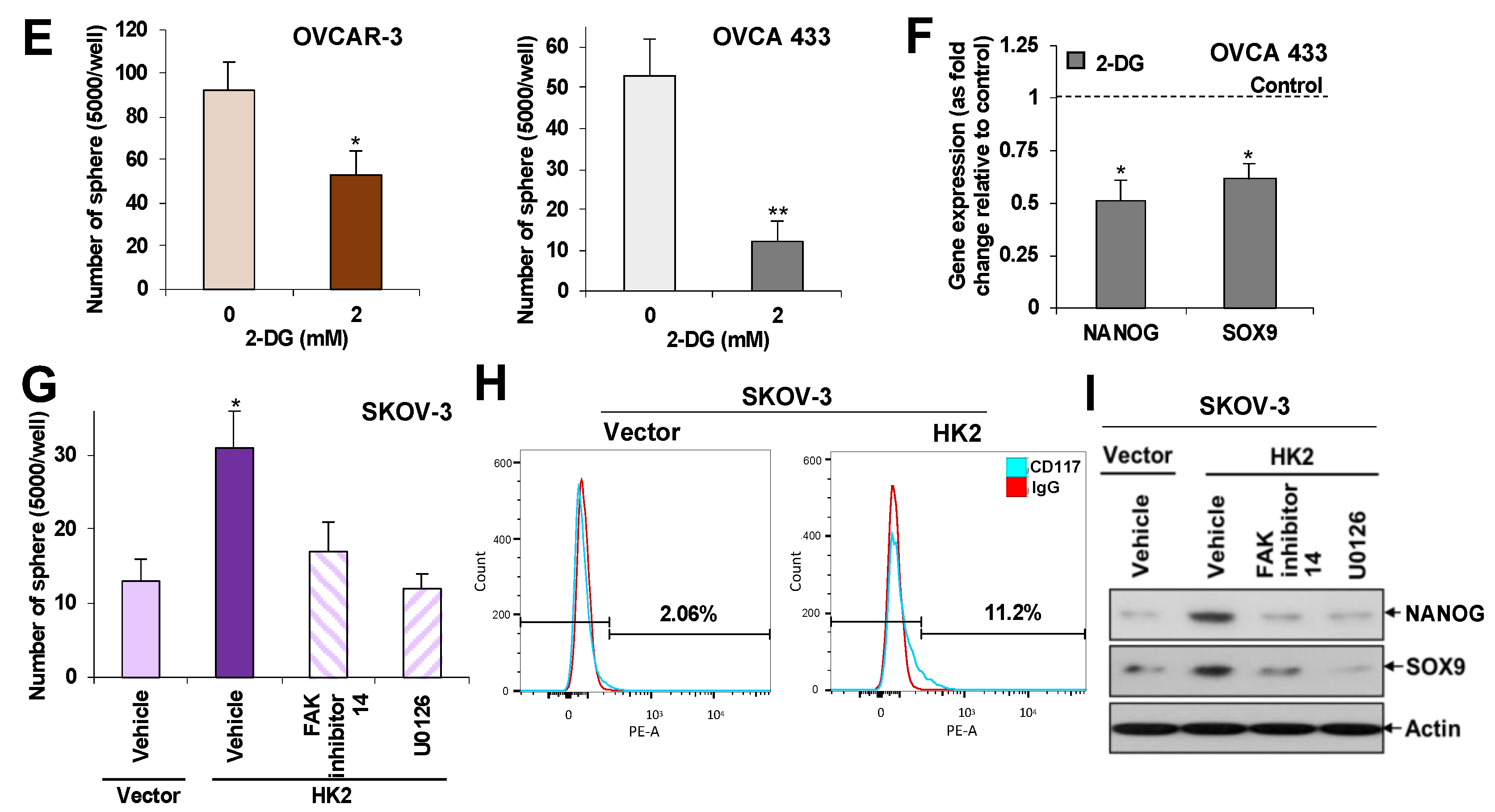Cancers 11 00813 g004b Cancers 11 00813 g004b