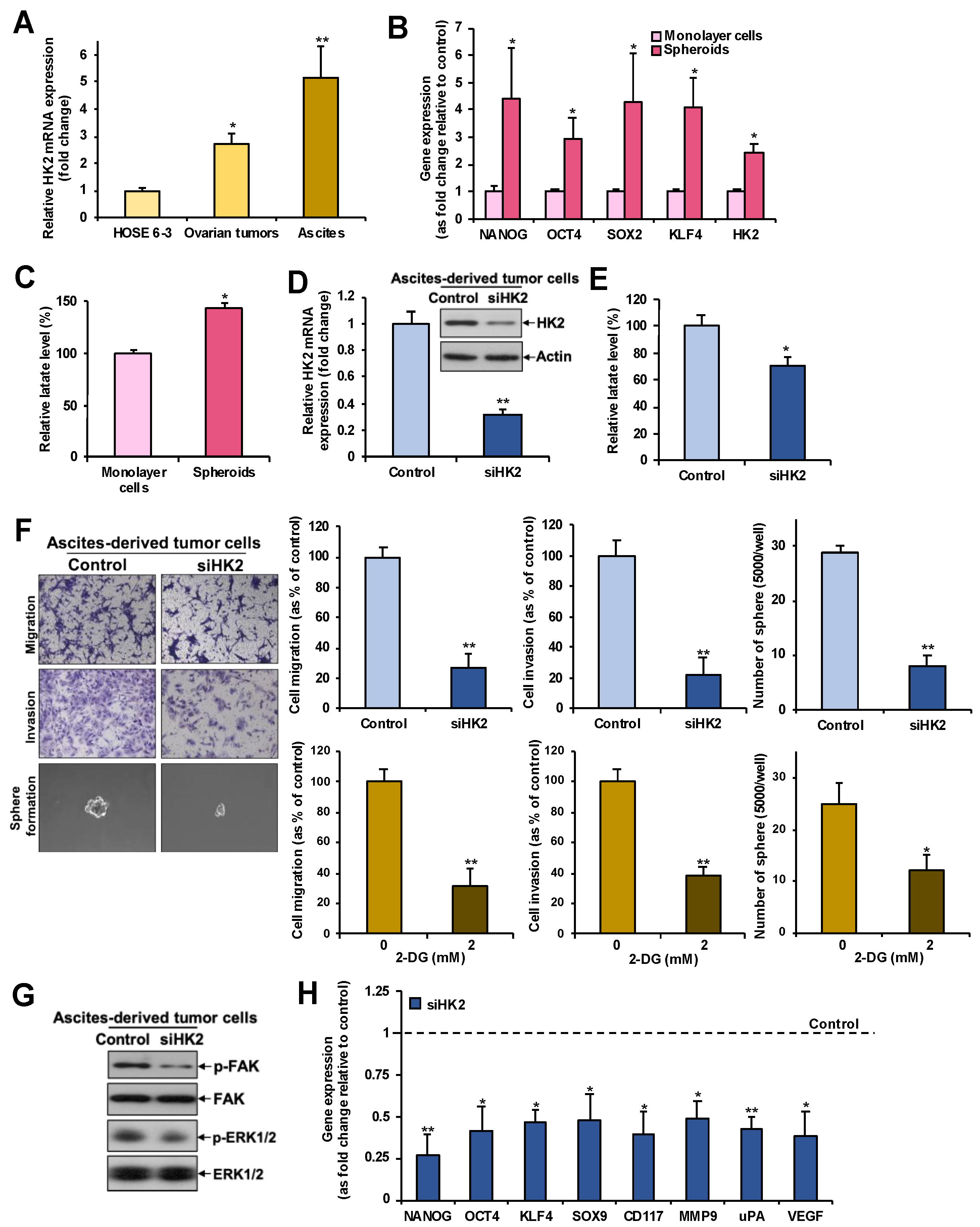 Cancers 11 00813 g005 Cancers 11 00813 g005