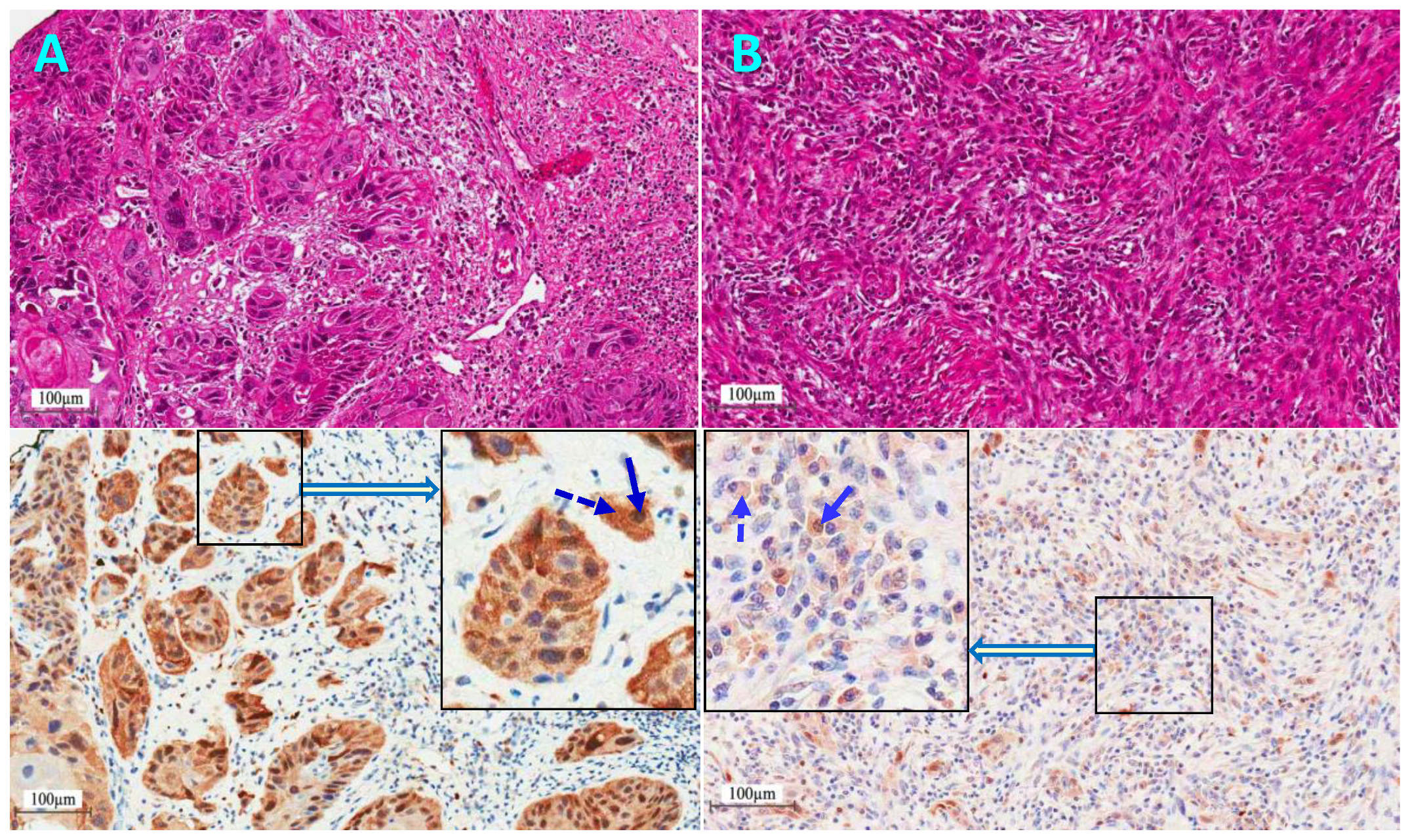 Cancers 11 00820 g005 Cancers 11 00820 g005