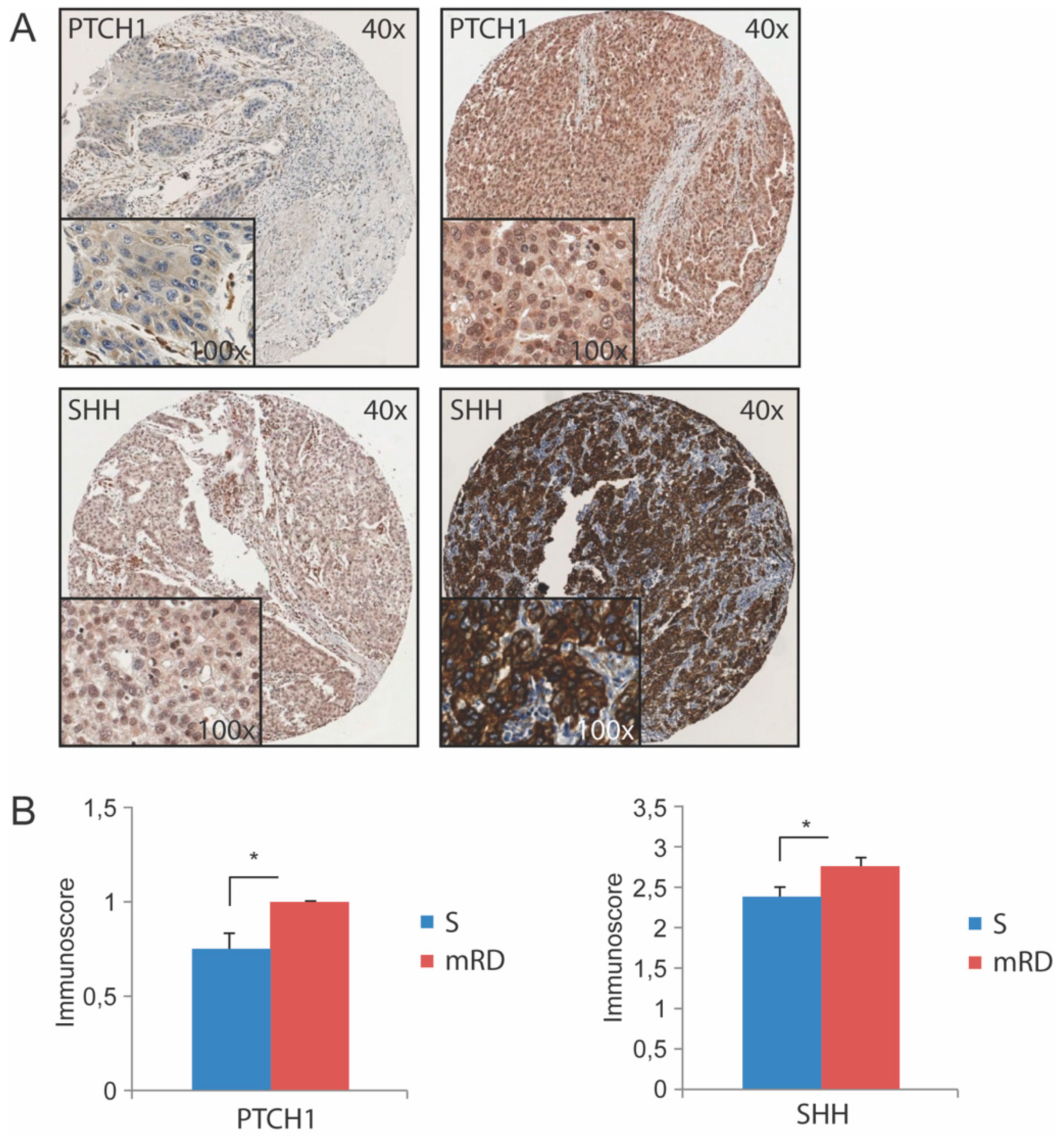 Cancers 11 00821 g001 Cancers 11 00821 g001