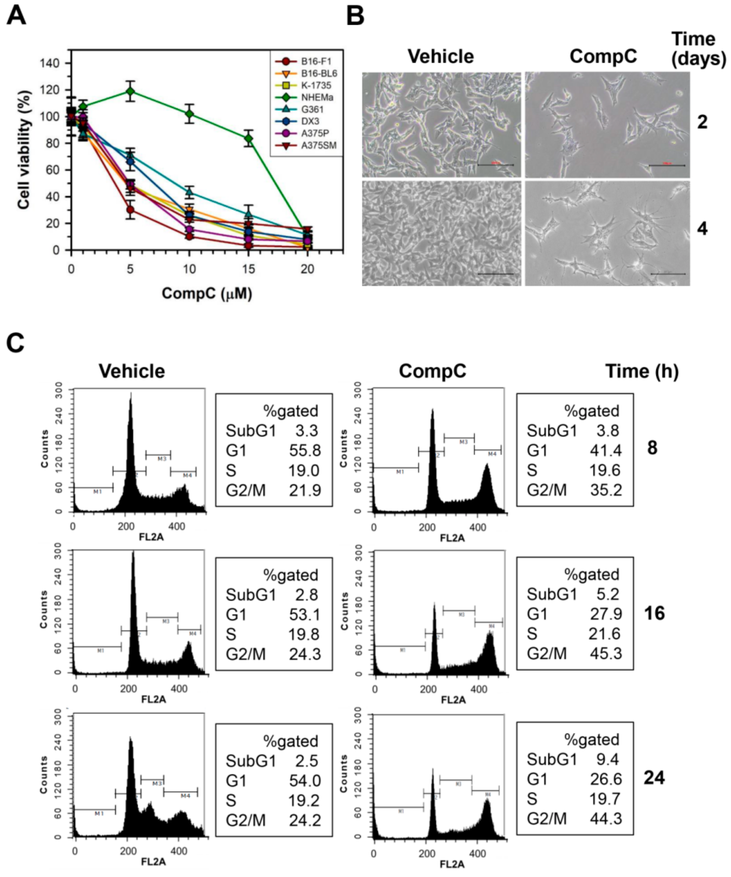 Cancers 11 00823 g001 Cancers 11 00823 g001